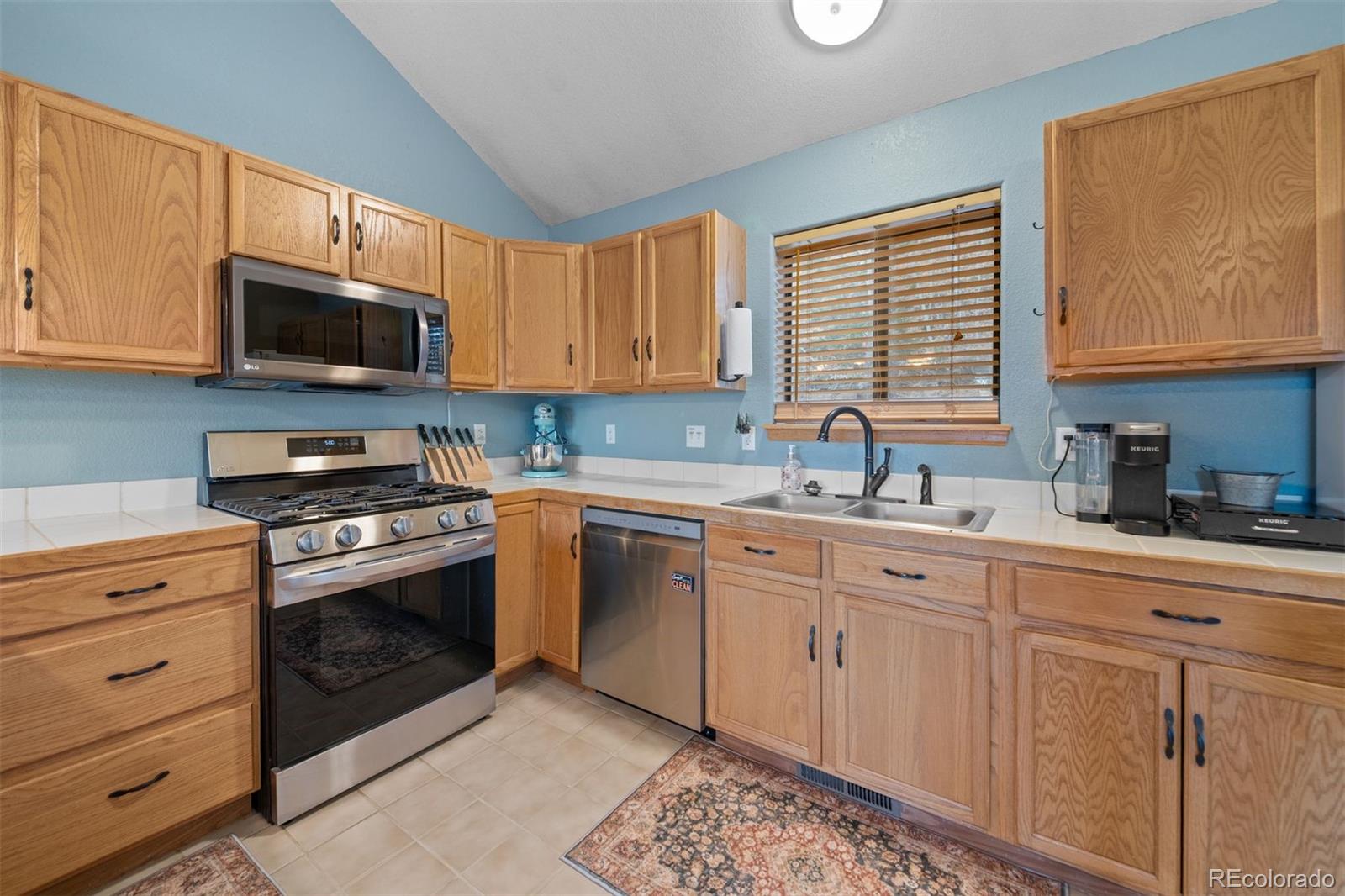 MLS Image #13 for 609  gold flake terrace,bailey, Colorado