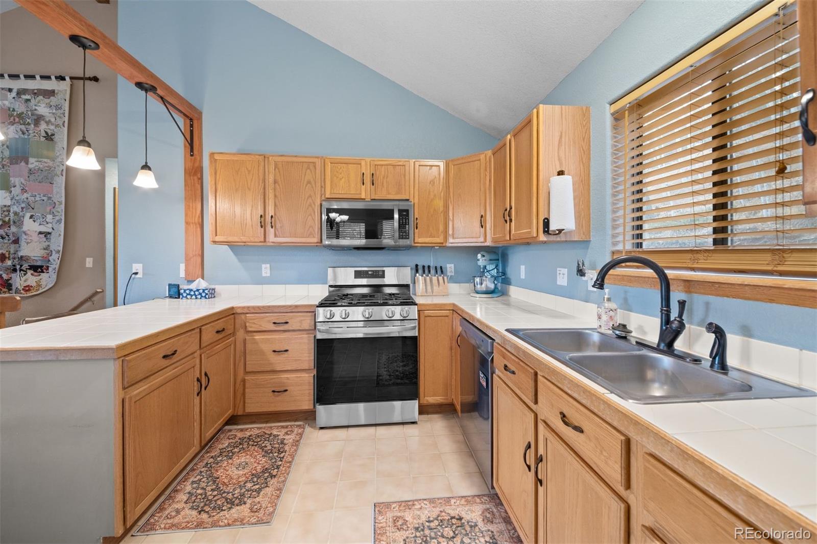 MLS Image #14 for 609  gold flake terrace,bailey, Colorado