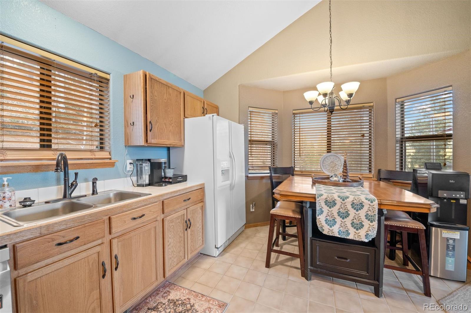 MLS Image #15 for 609  gold flake terrace,bailey, Colorado