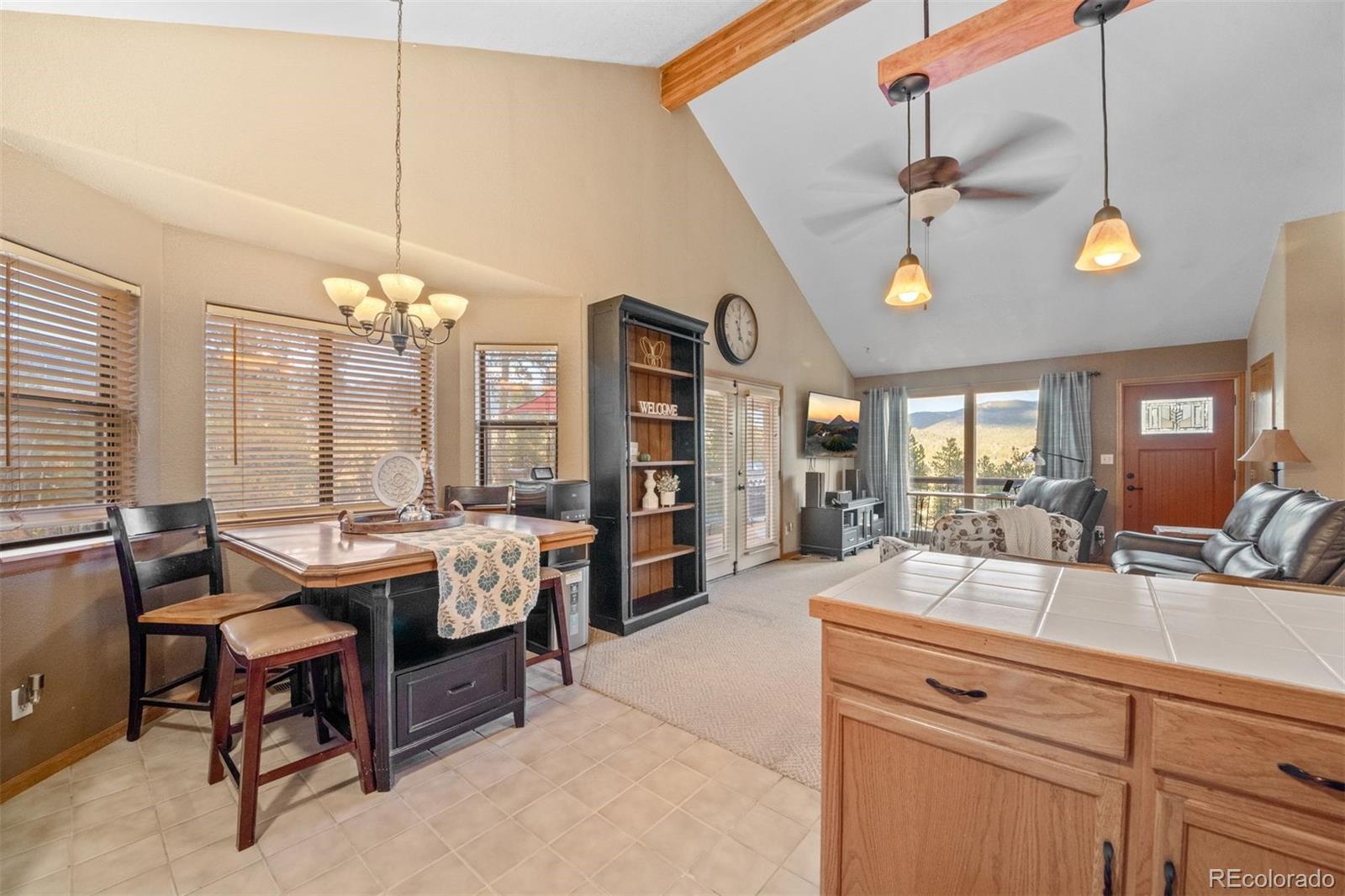 MLS Image #16 for 609  gold flake terrace,bailey, Colorado