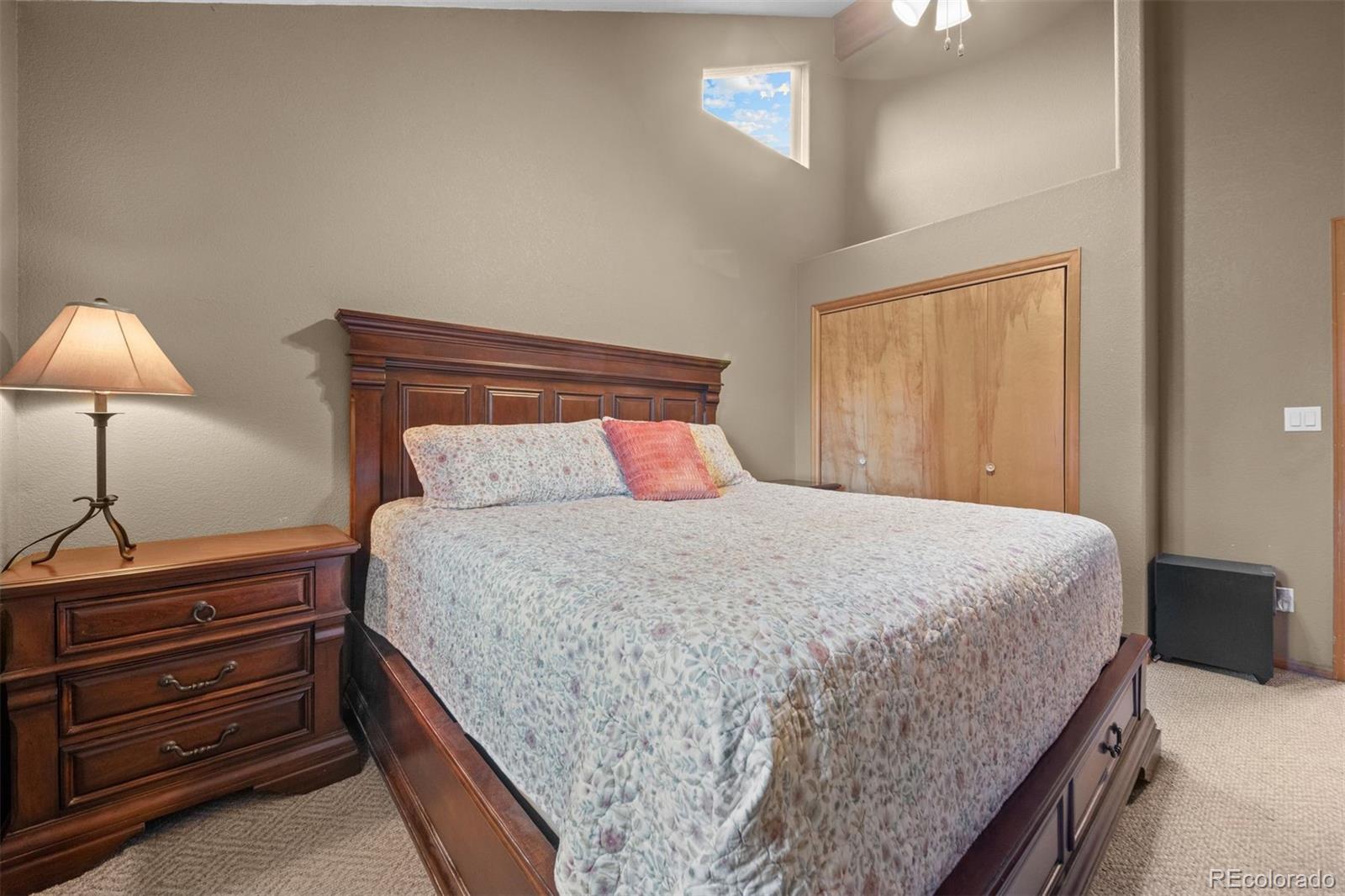 MLS Image #17 for 609  gold flake terrace,bailey, Colorado