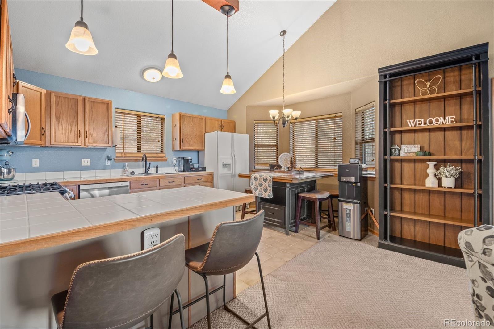 MLS Image #2 for 609  gold flake terrace,bailey, Colorado
