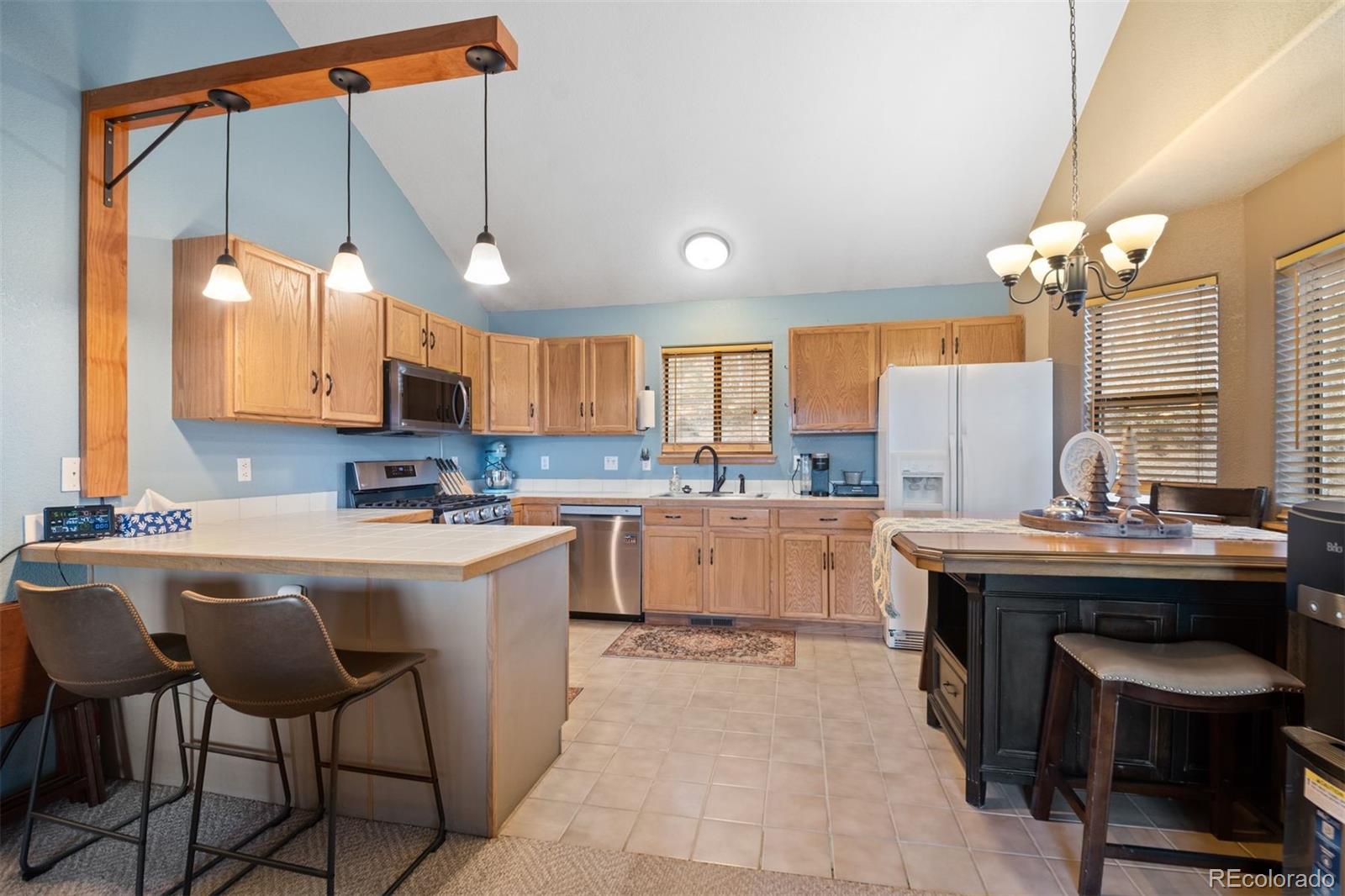 MLS Image #3 for 609  gold flake terrace,bailey, Colorado