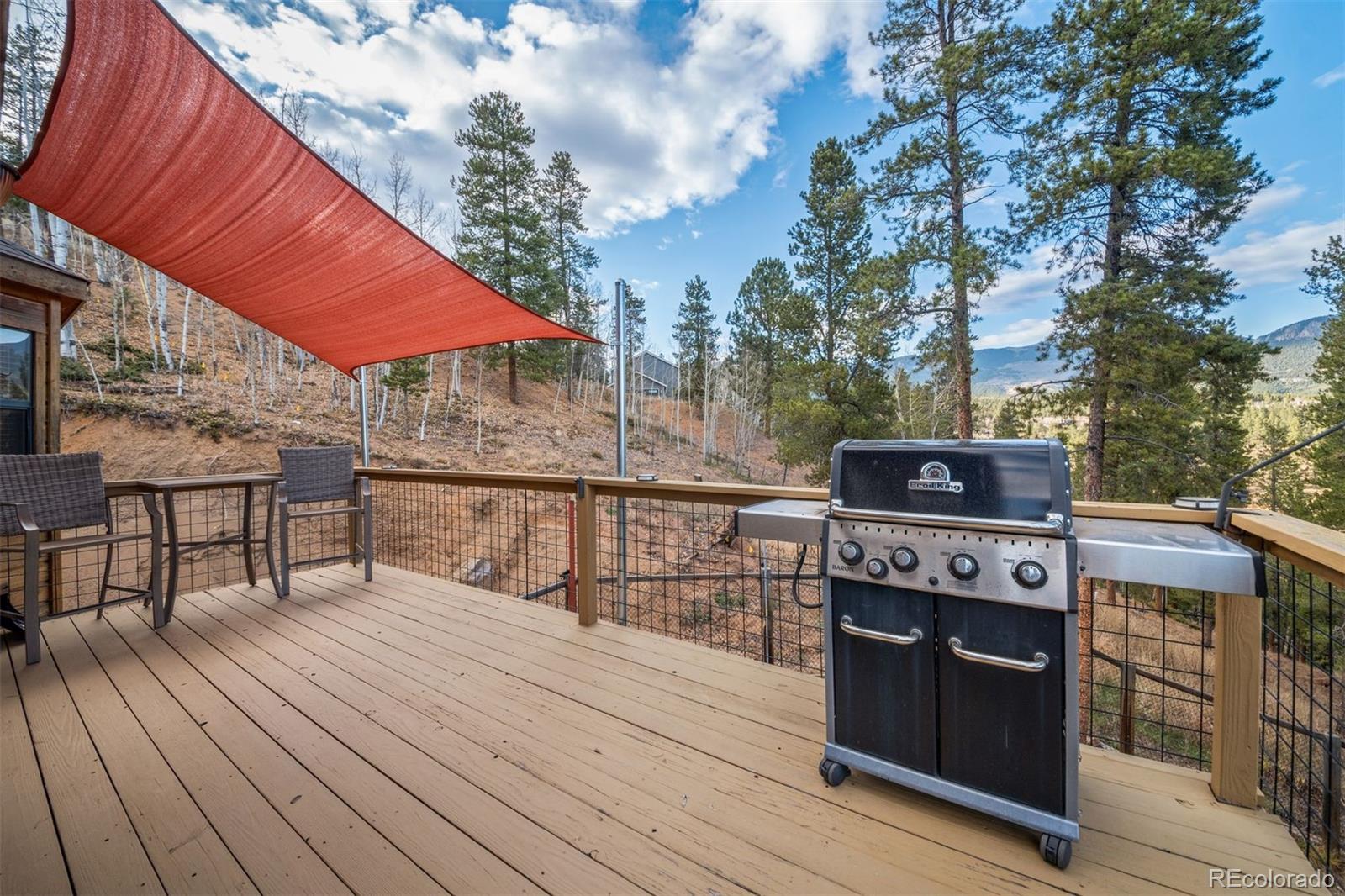 MLS Image #36 for 609  gold flake terrace,bailey, Colorado