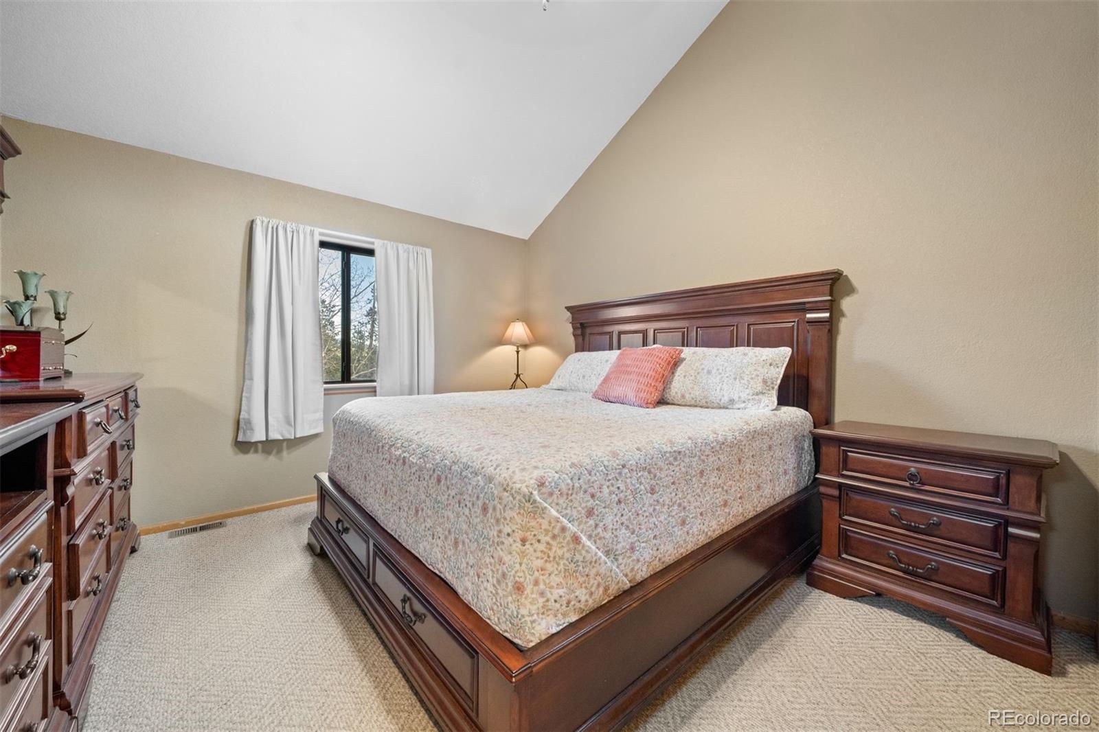 MLS Image #4 for 609  gold flake terrace,bailey, Colorado