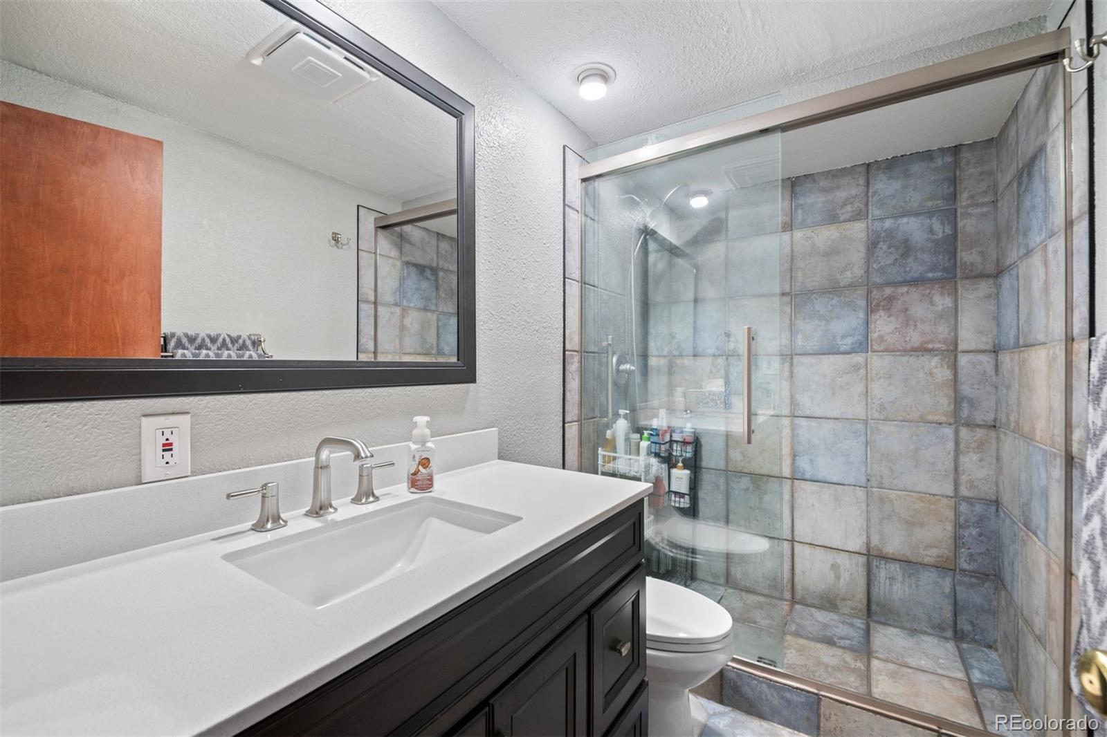 MLS Image #5 for 609  gold flake terrace,bailey, Colorado