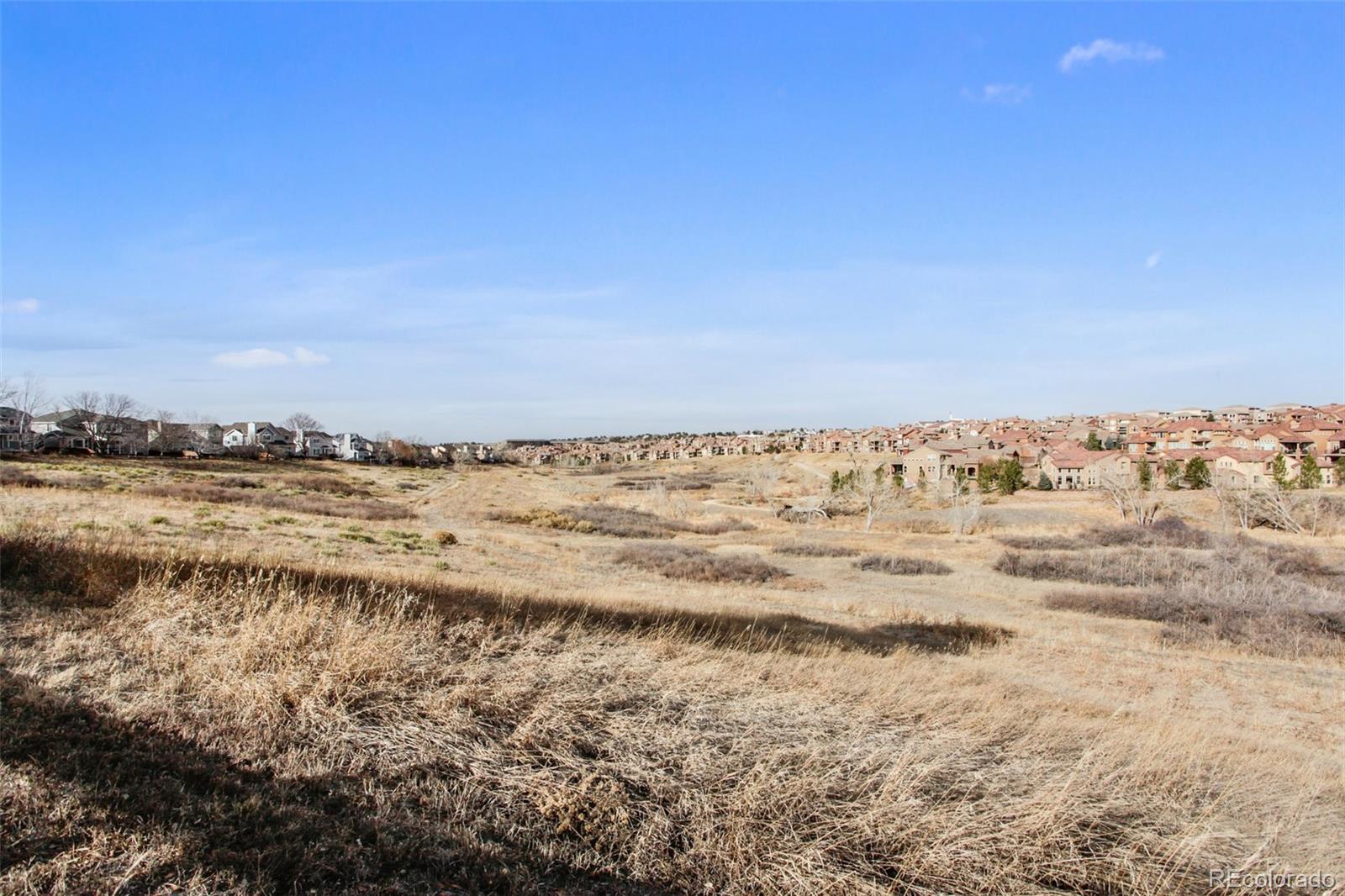 MLS Image #39 for 2981  montclair court,highlands ranch, Colorado