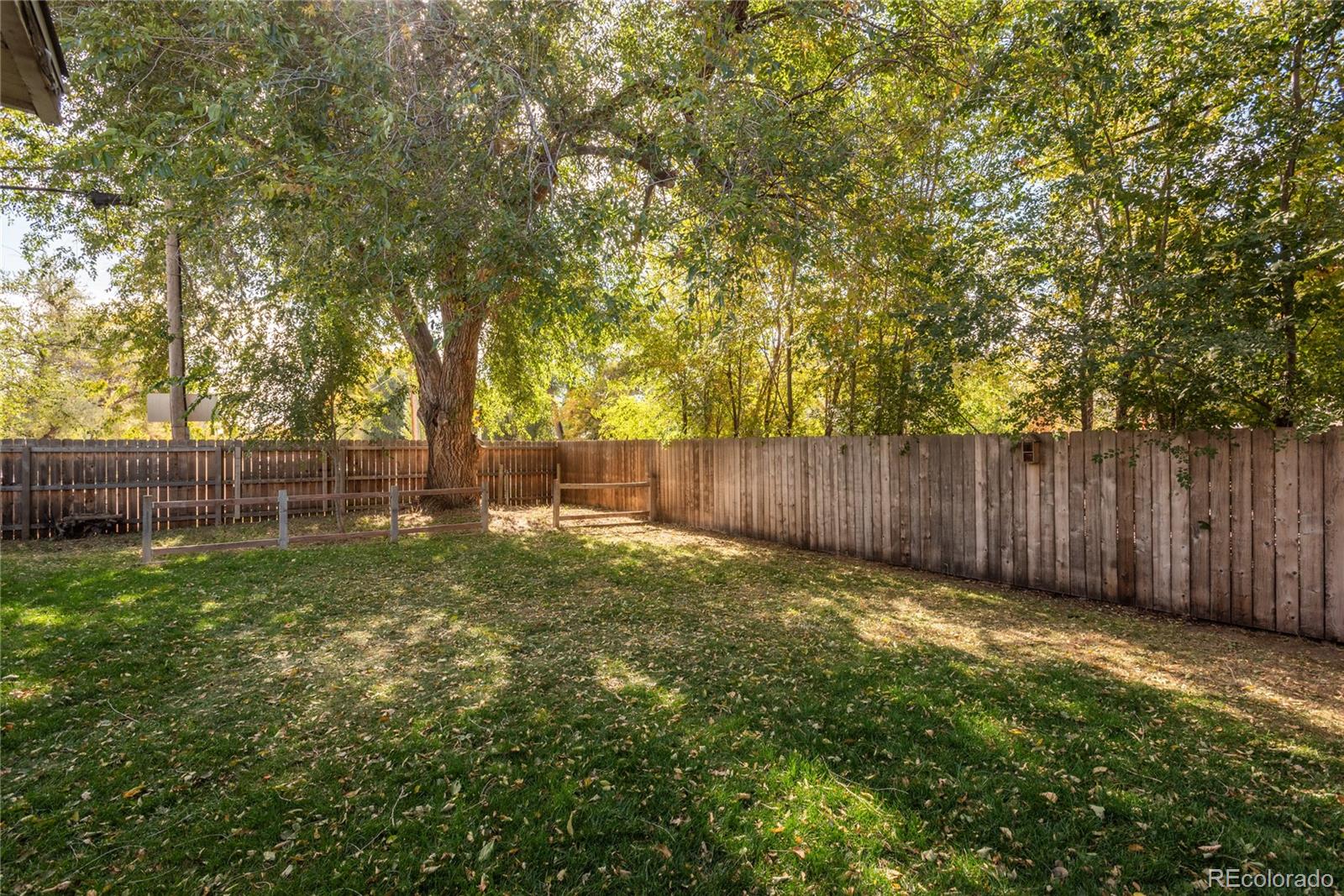 MLS Image #25 for 1501  liberty court,longmont, Colorado