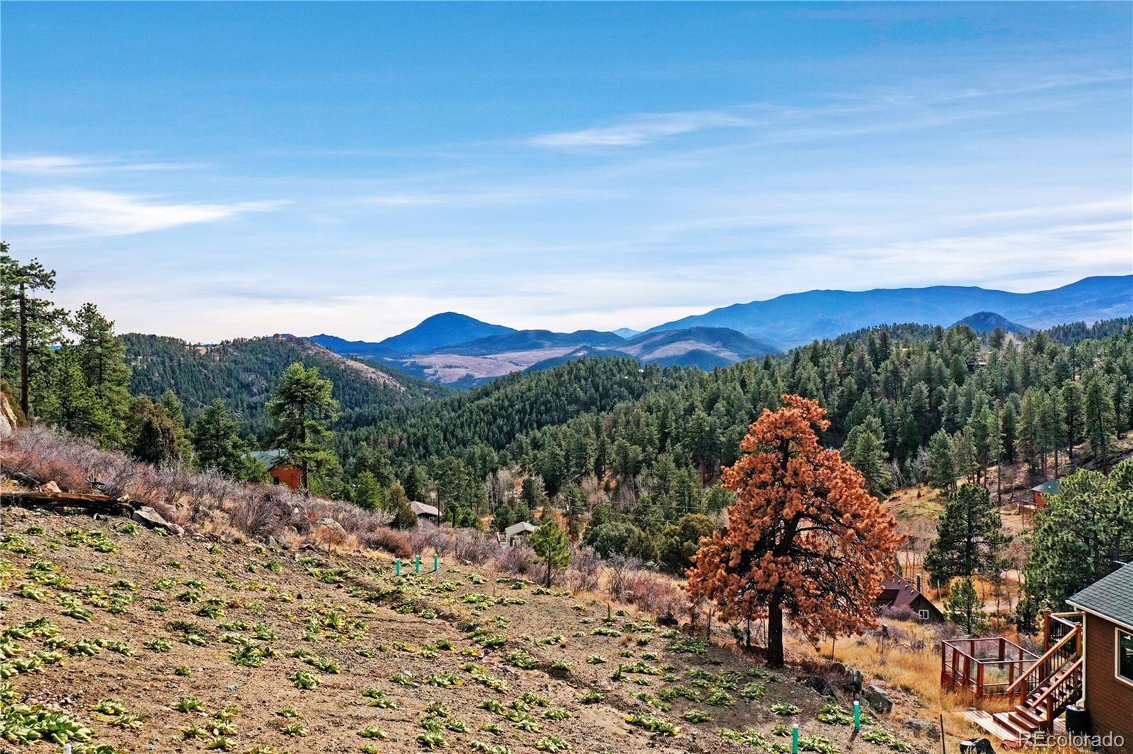MLS Image #1 for 209  fawn road,bailey, Colorado