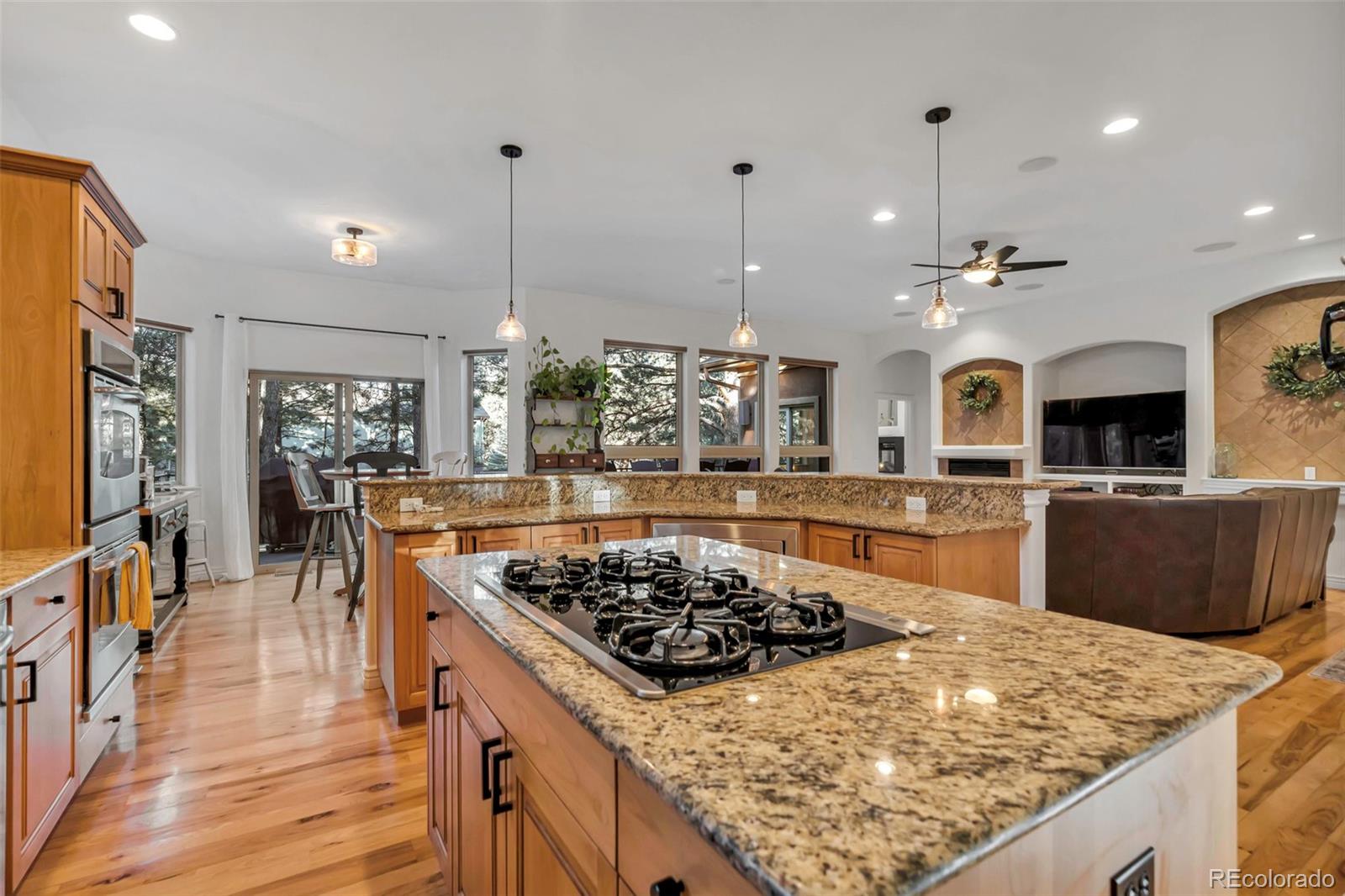 MLS Image #6 for 670  independence drive,larkspur, Colorado
