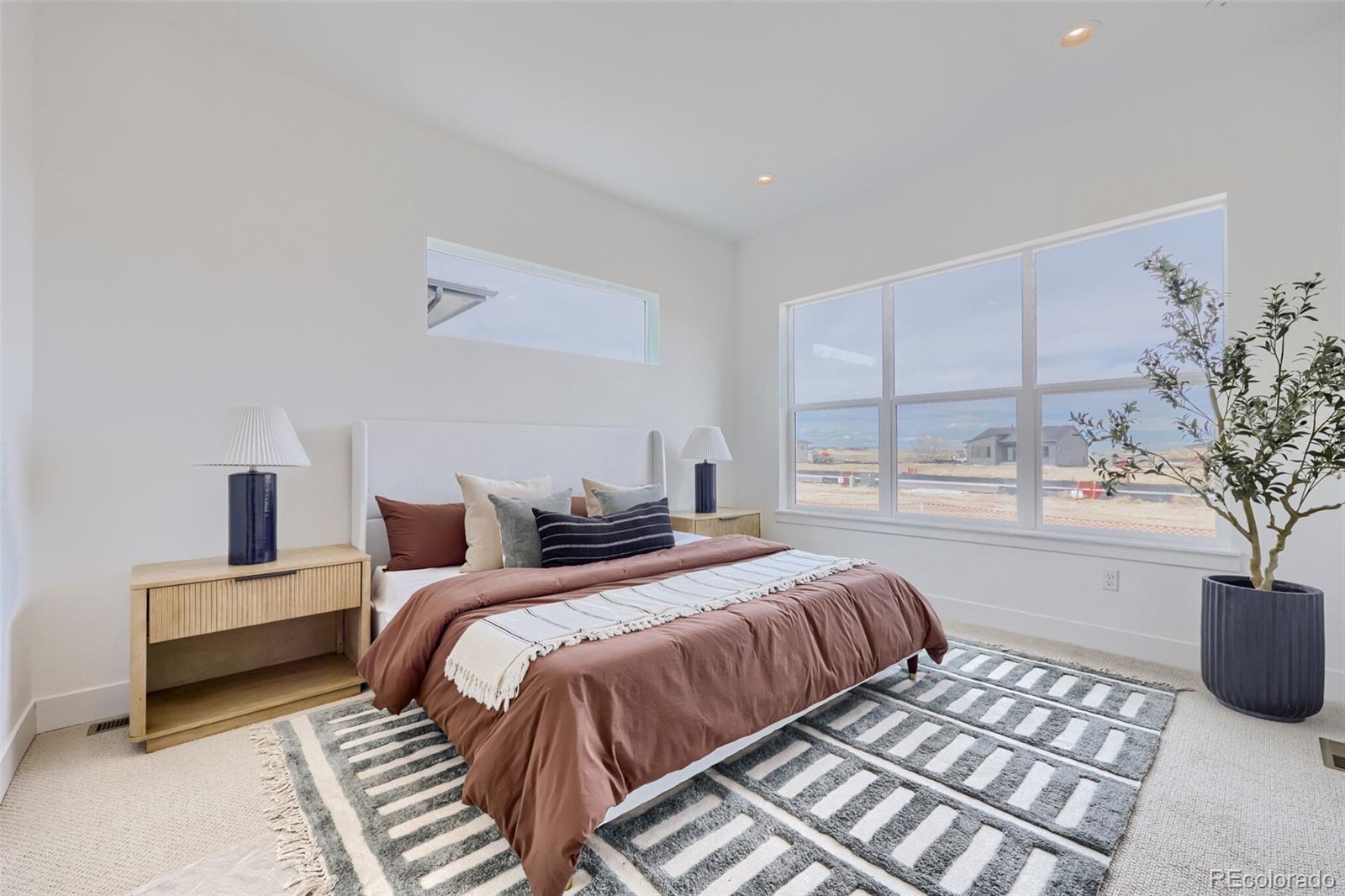 MLS Image #8 for 6327  verve lane,parker, Colorado