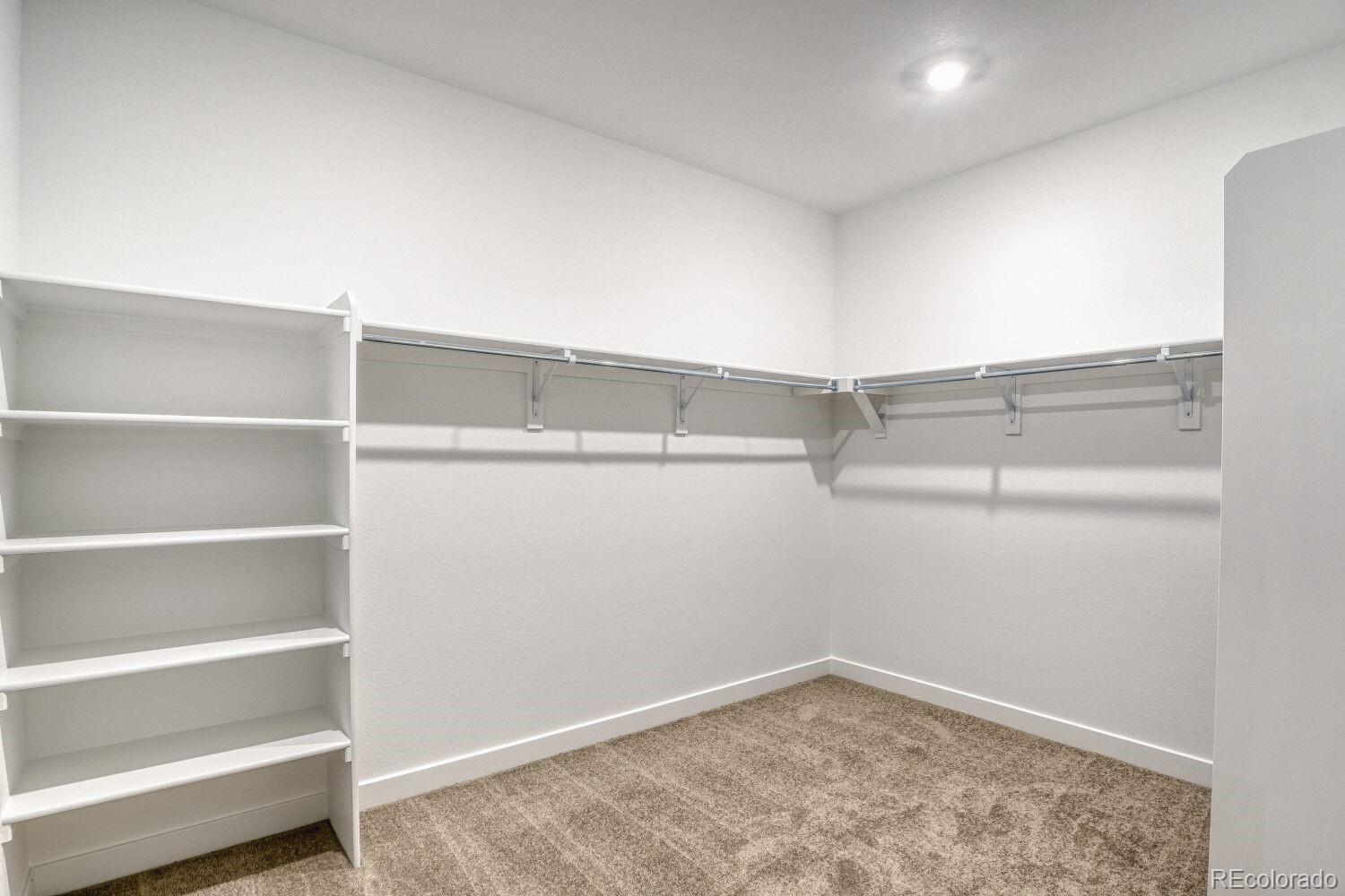 MLS Image #10 for 10873  tundra top drive,parker, Colorado