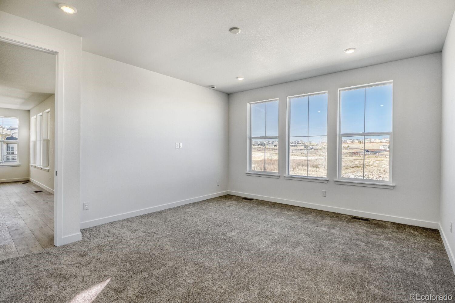 MLS Image #11 for 10873  tundra top drive,parker, Colorado