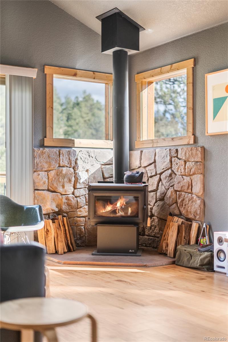 MLS Image #11 for 225 e cline drive,shawnee, Colorado