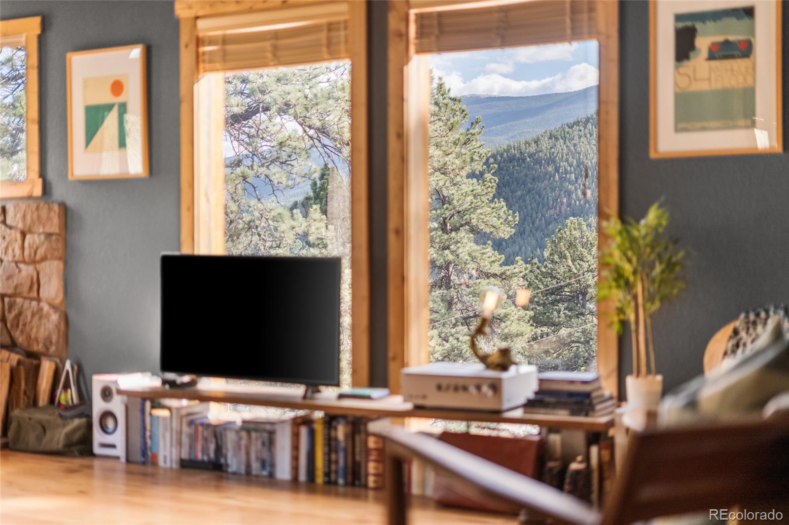 MLS Image #12 for 225 e cline drive,shawnee, Colorado