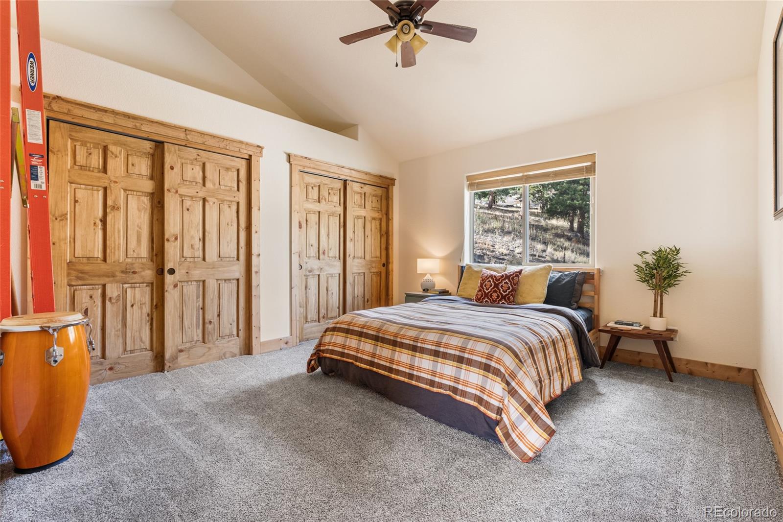 MLS Image #17 for 225 e cline drive,shawnee, Colorado