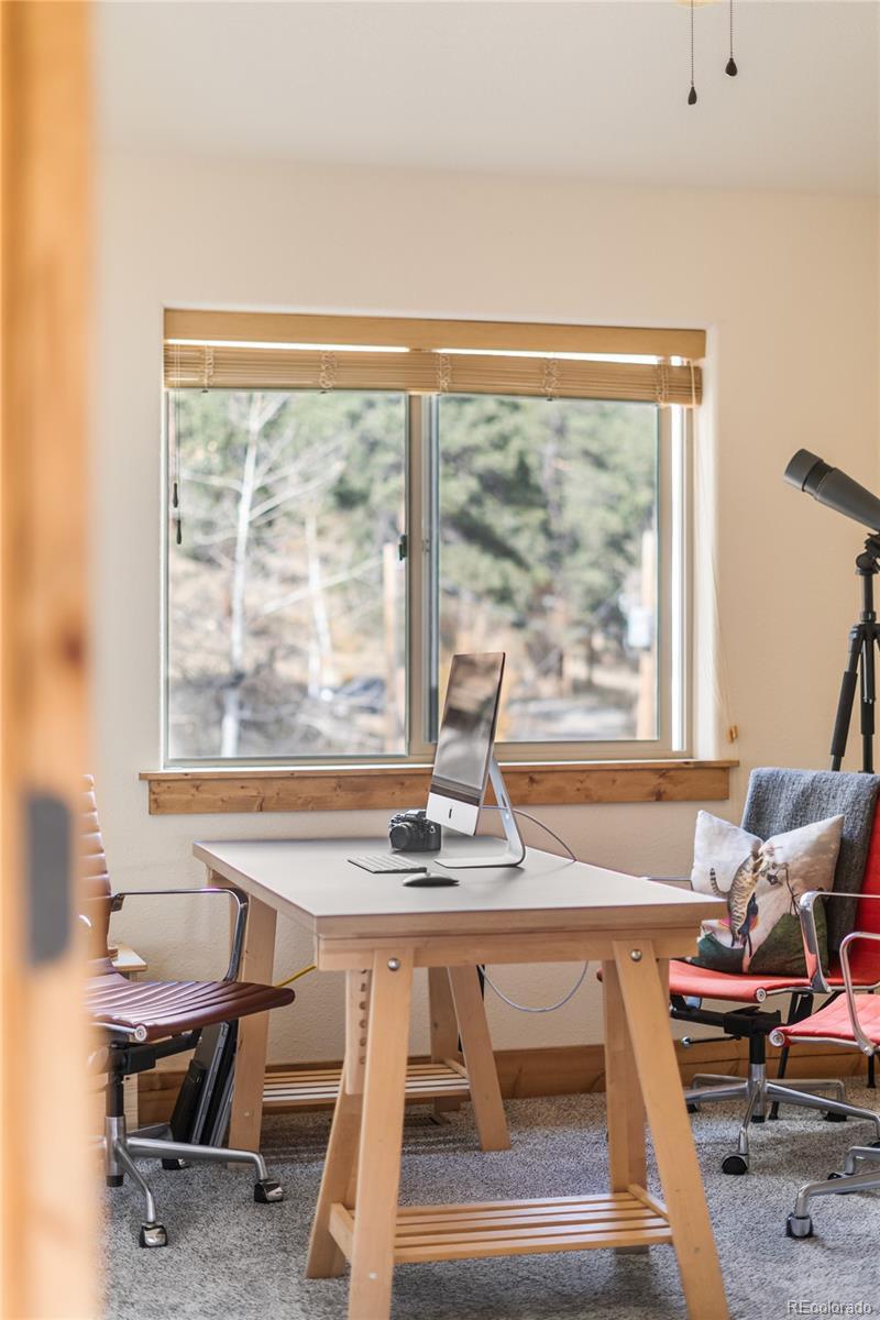 MLS Image #21 for 225 e cline drive,shawnee, Colorado