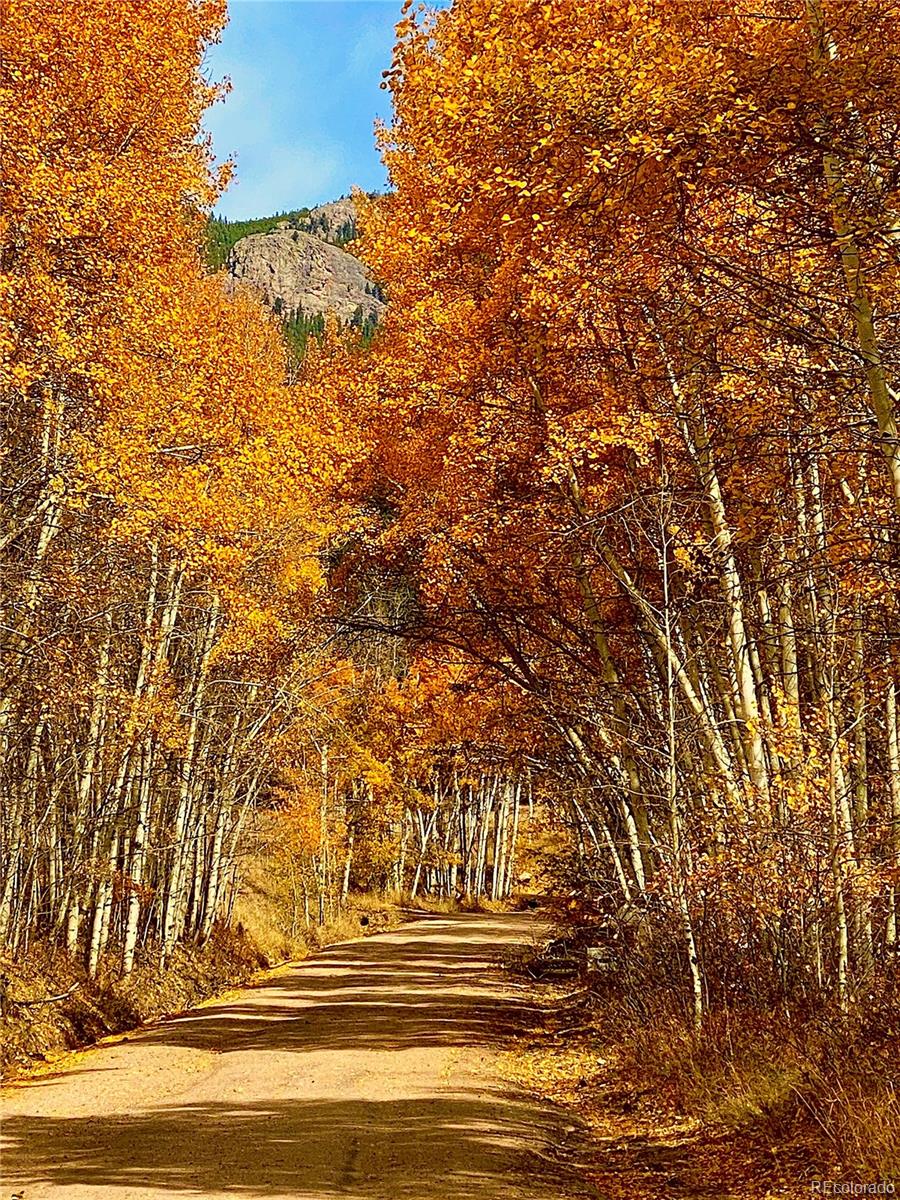 MLS Image #3 for 225 e cline drive,shawnee, Colorado