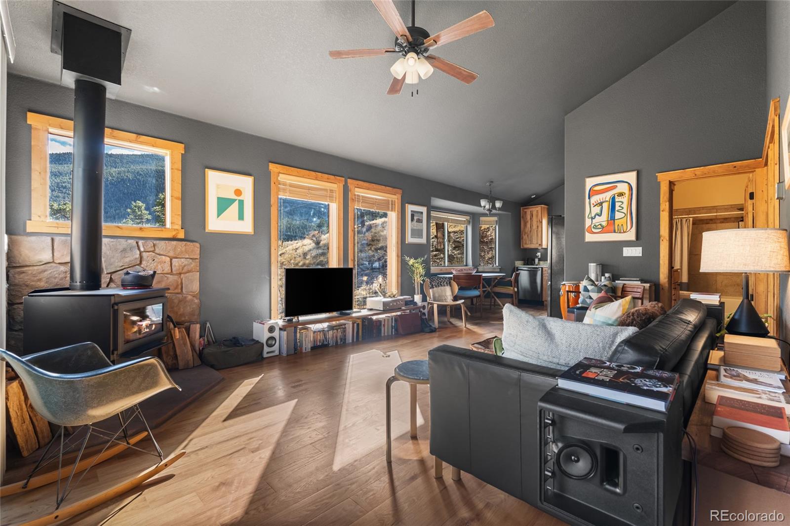 MLS Image #6 for 225 e cline drive,shawnee, Colorado