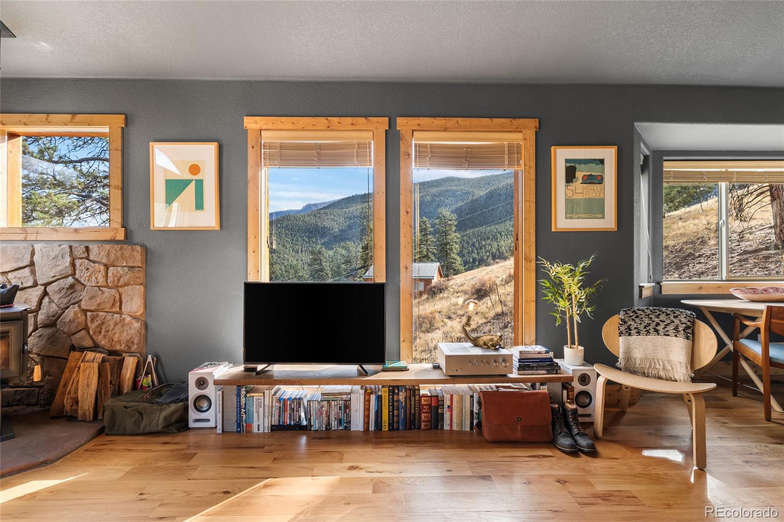 MLS Image #8 for 225 e cline drive,shawnee, Colorado