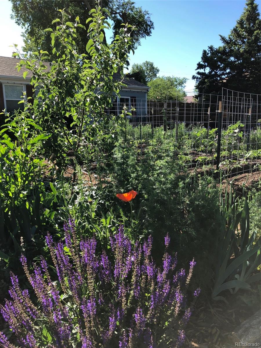 MLS Image #44 for 3630 n fillmore street,denver, Colorado