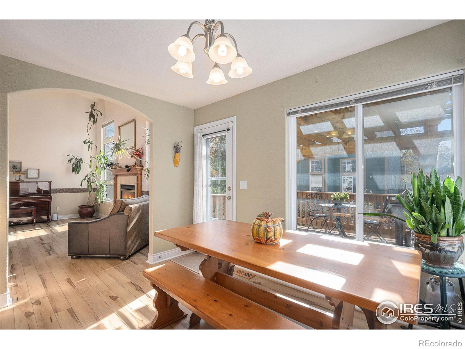 MLS Image #14 for 5872  merganser court,longmont, Colorado