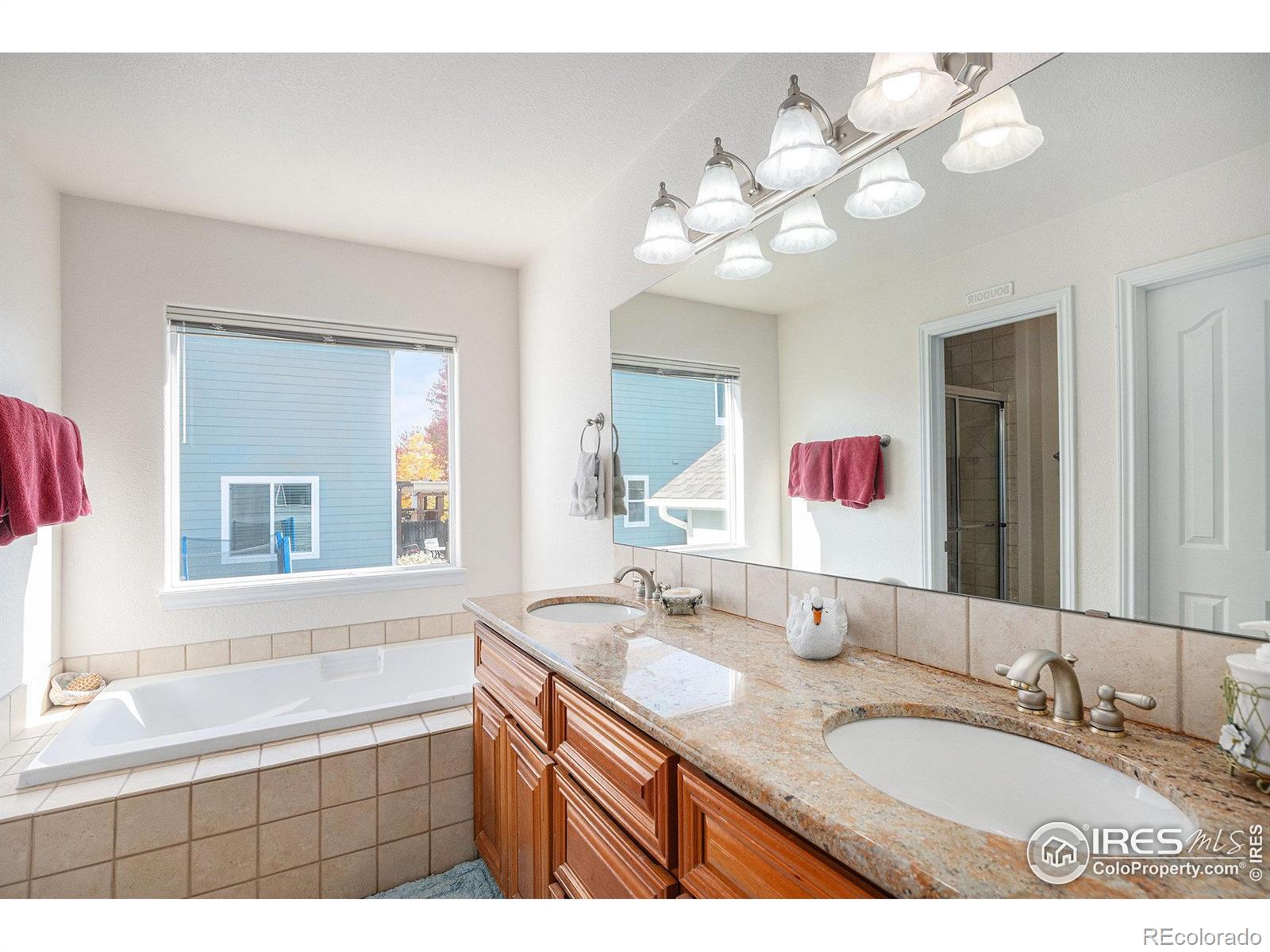 MLS Image #17 for 5872  merganser court,longmont, Colorado