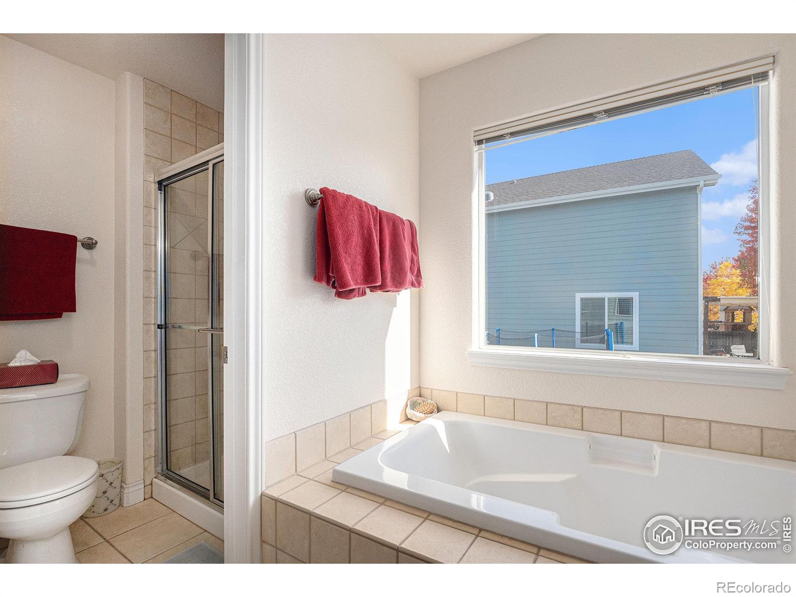 MLS Image #18 for 5872  merganser court,longmont, Colorado