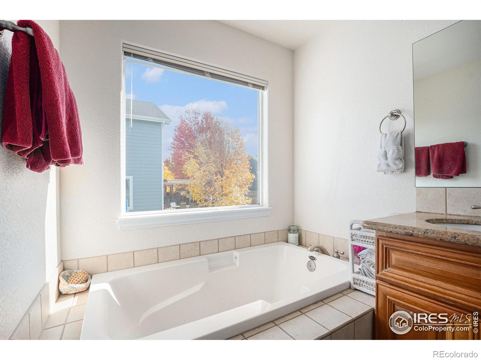 MLS Image #19 for 5872  merganser court,longmont, Colorado