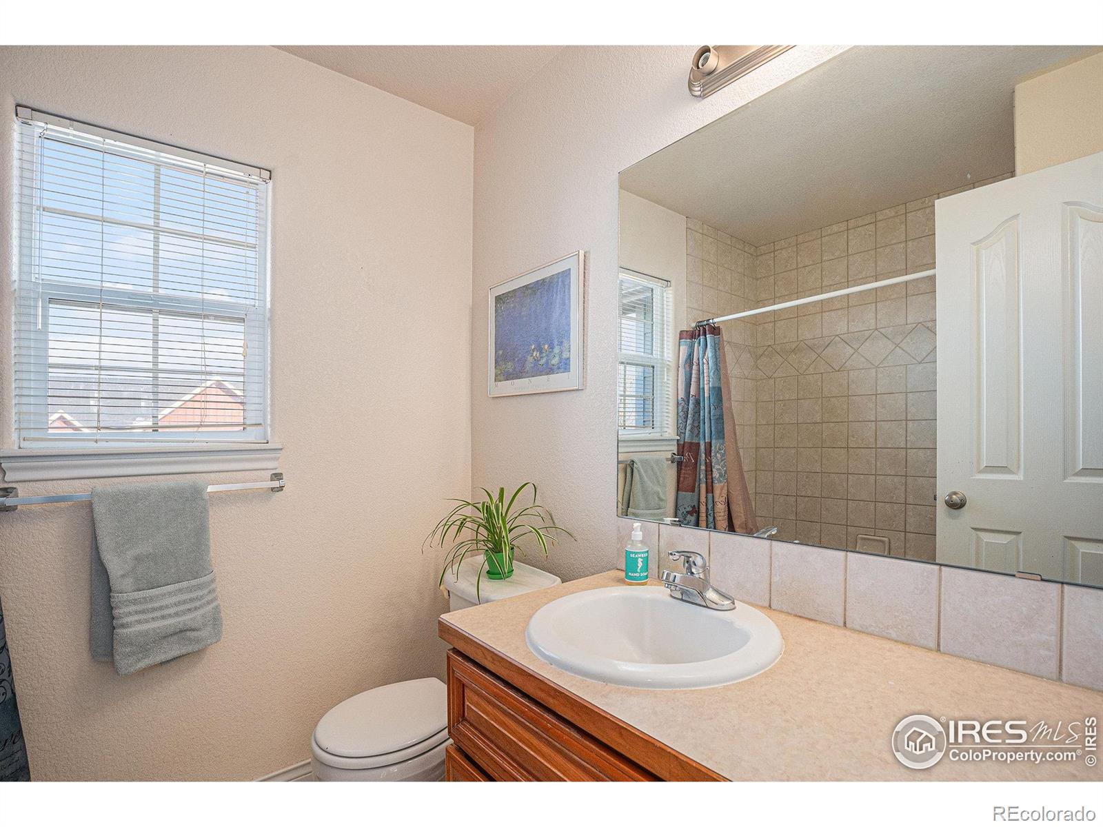 MLS Image #24 for 5872  merganser court,longmont, Colorado