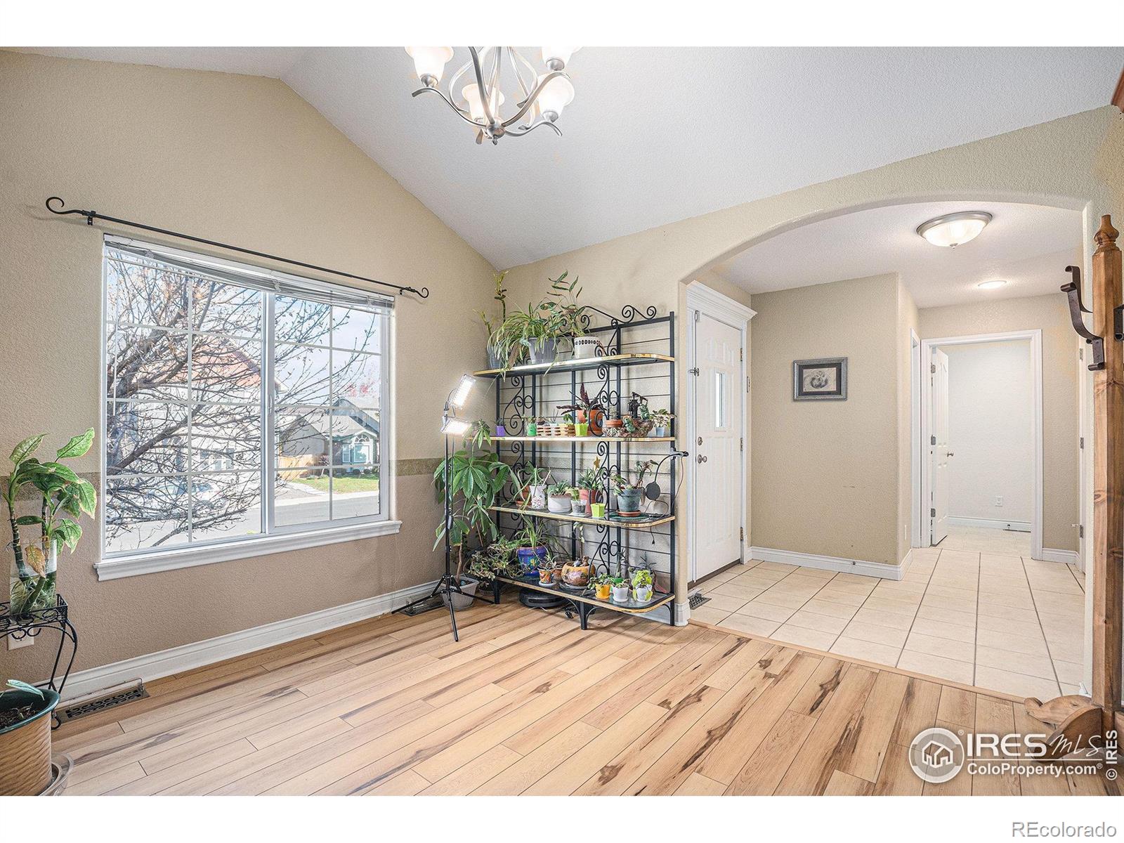MLS Image #3 for 5872  merganser court,longmont, Colorado