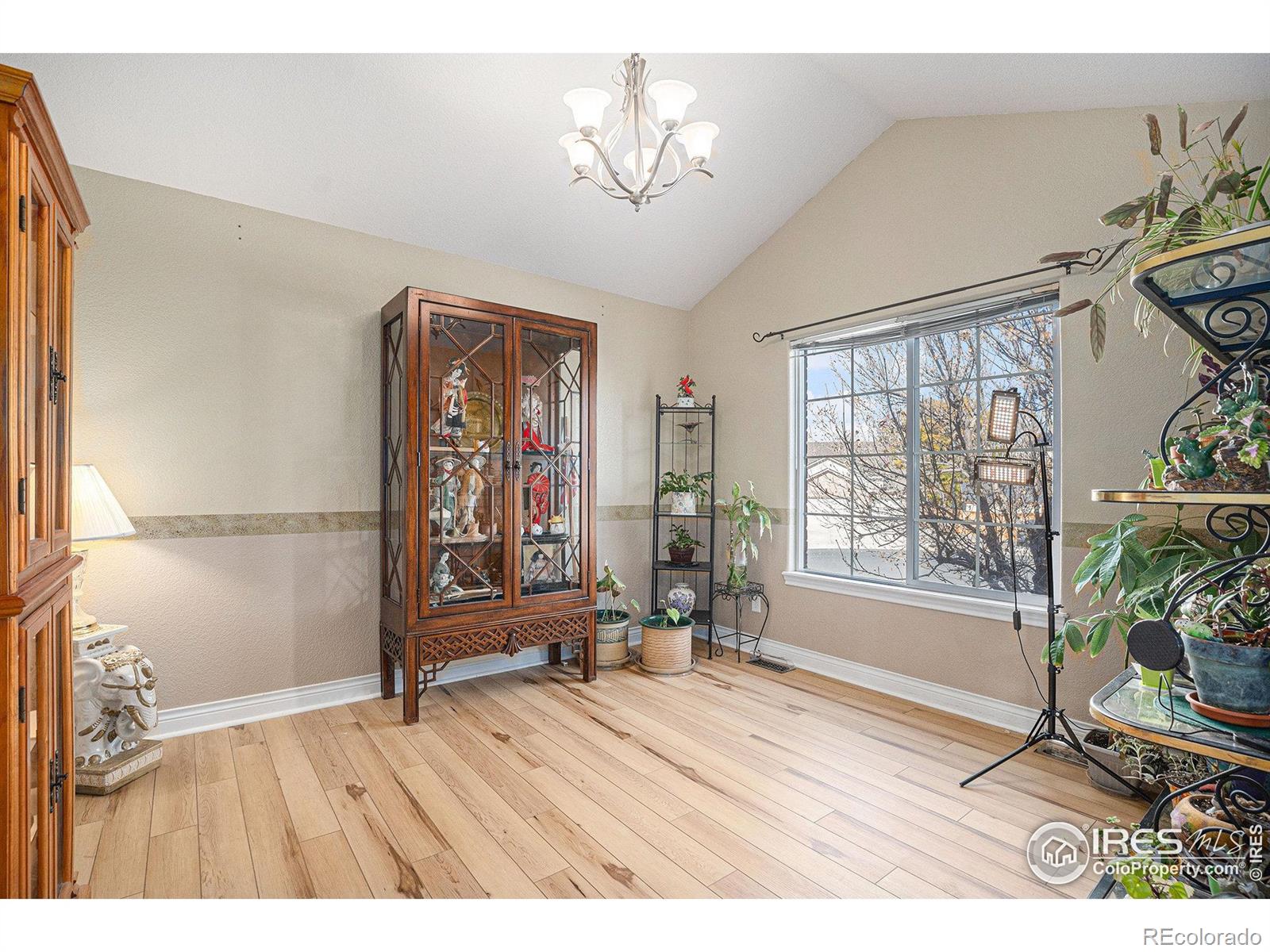 MLS Image #4 for 5872  merganser court,longmont, Colorado