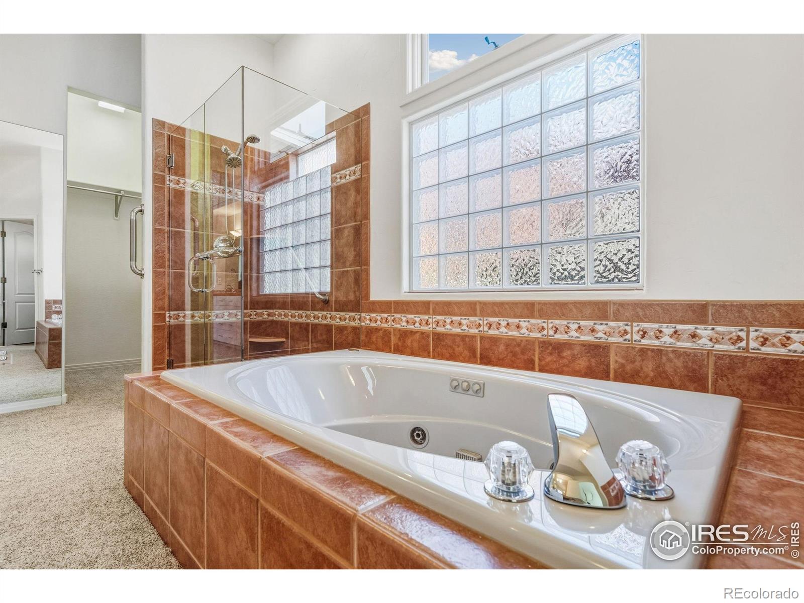 MLS Image #14 for 5360  lighthouse point court,loveland, Colorado