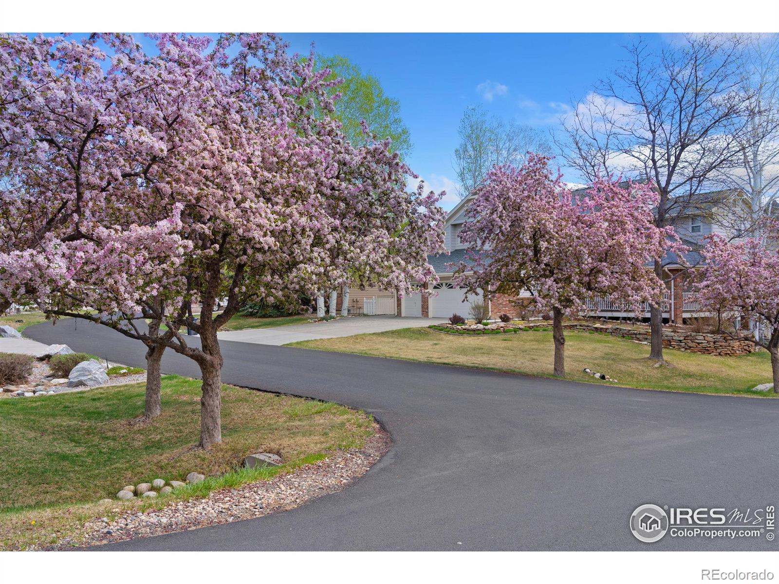 MLS Image #41 for 5360  lighthouse point court,loveland, Colorado