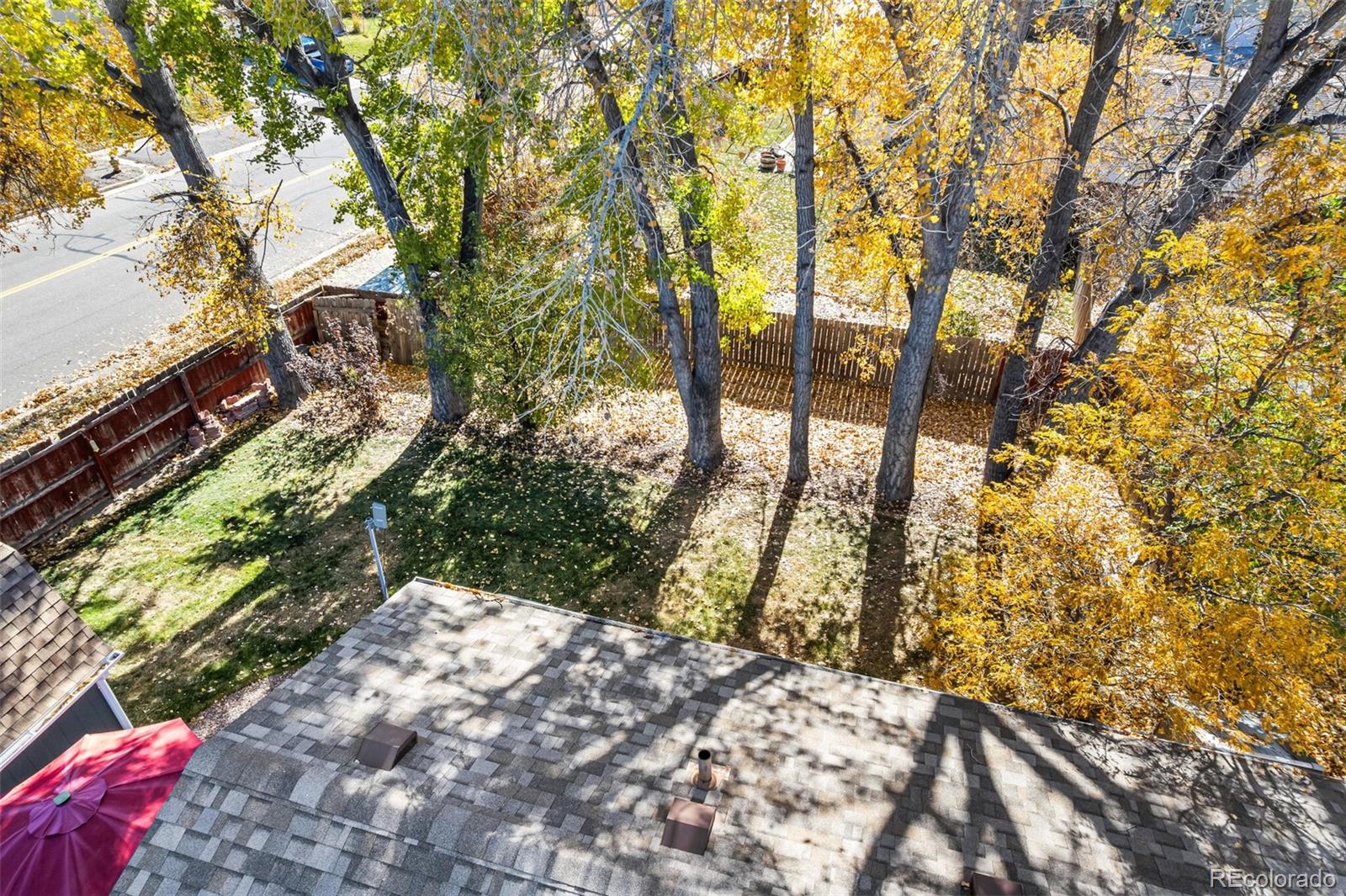 MLS Image #25 for 1488  columbine drive ,castle rock, Colorado