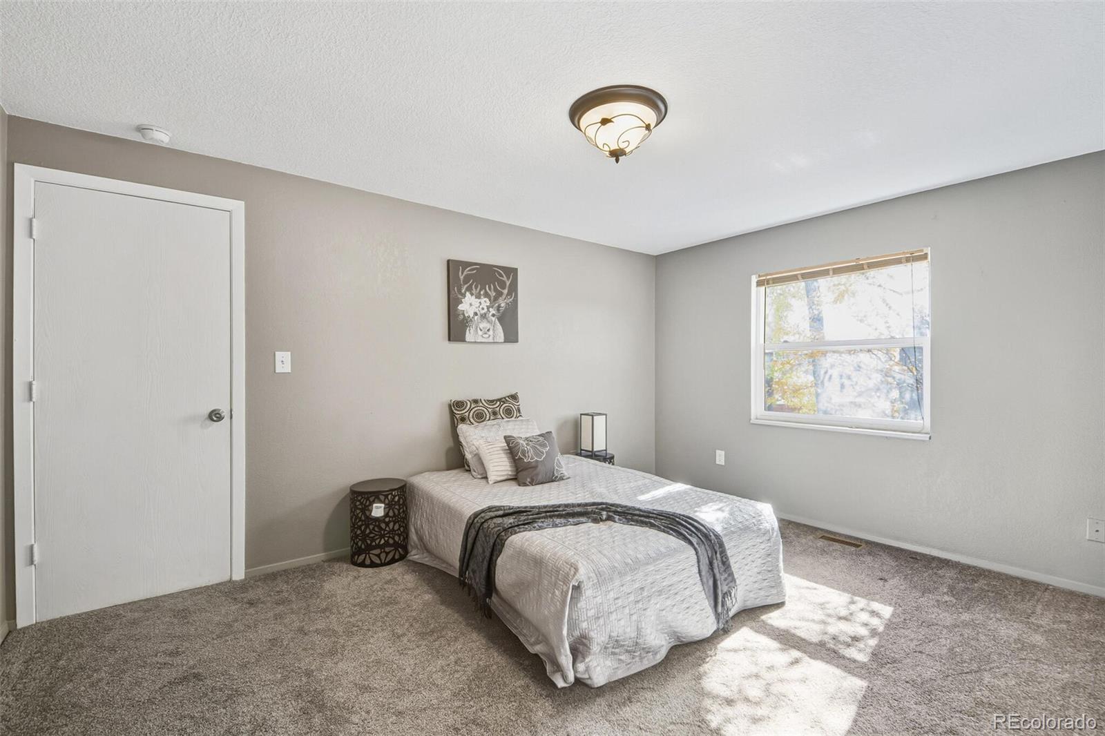 MLS Image #31 for 1488  columbine drive ,castle rock, Colorado