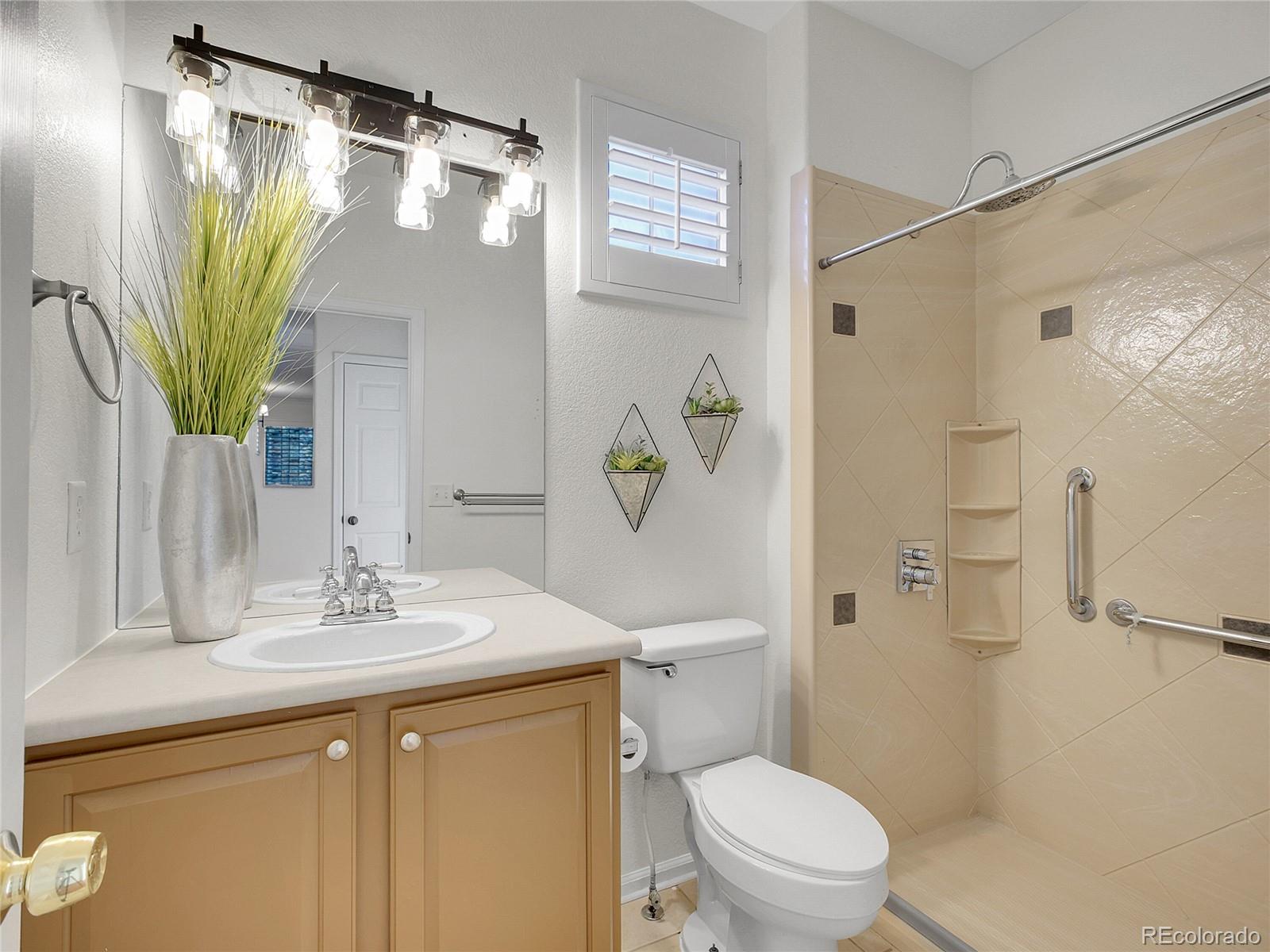 MLS Image #15 for 23161  timber spring place,parker, Colorado