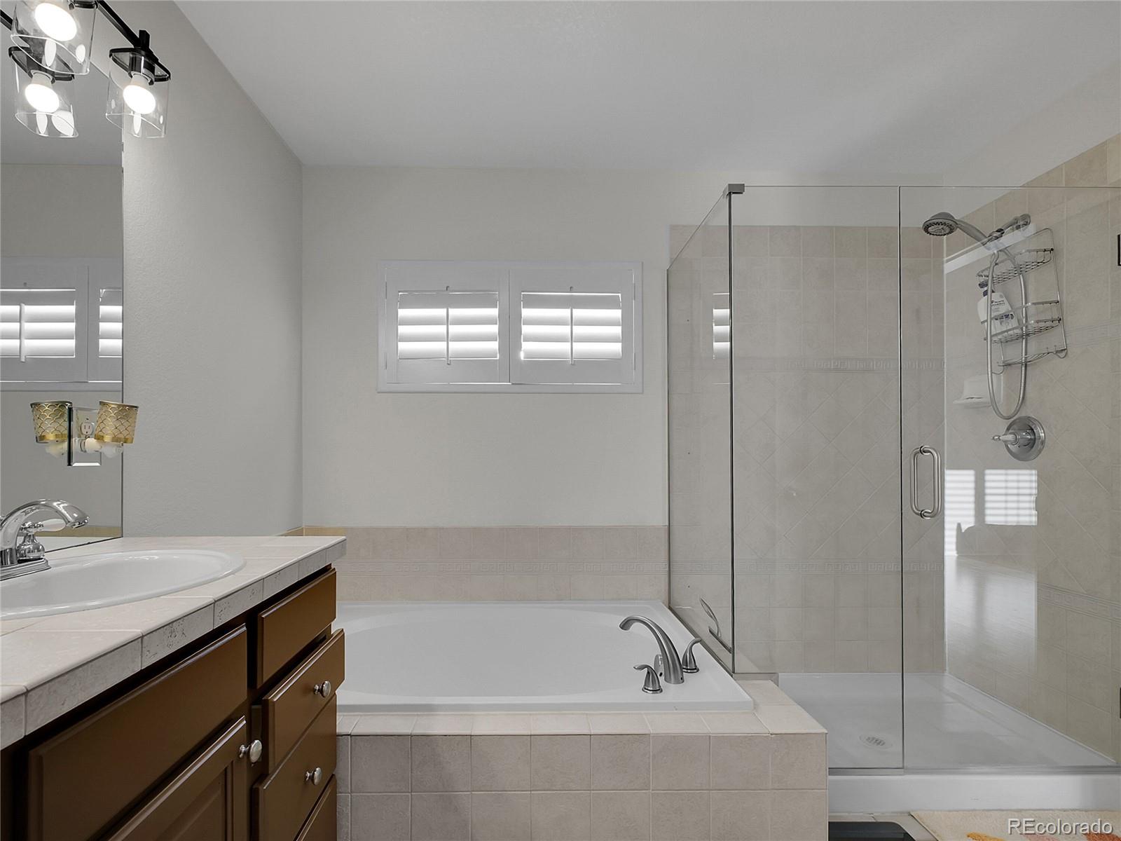 MLS Image #20 for 23161  timber spring place,parker, Colorado