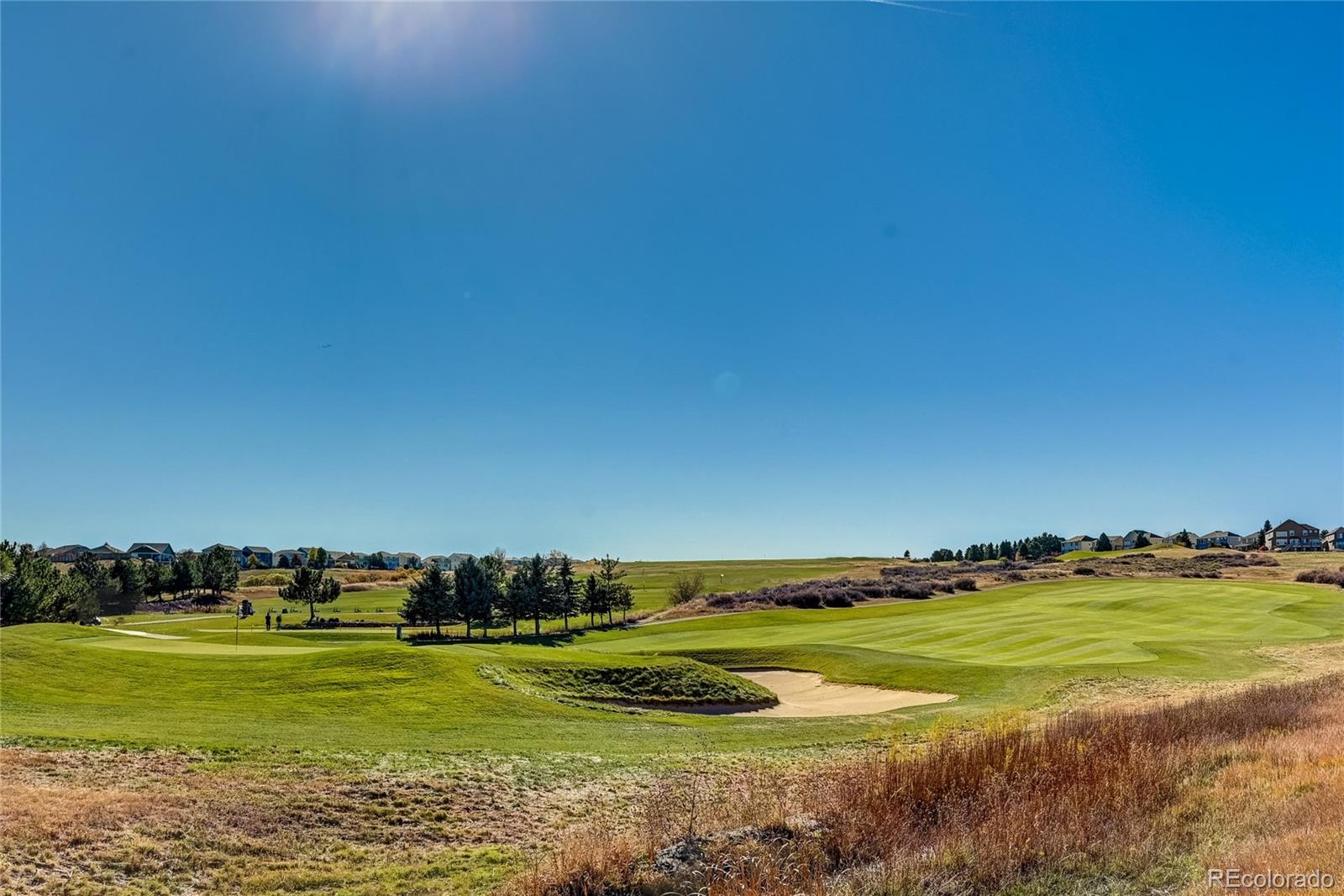 MLS Image #37 for 23161  timber spring place,parker, Colorado