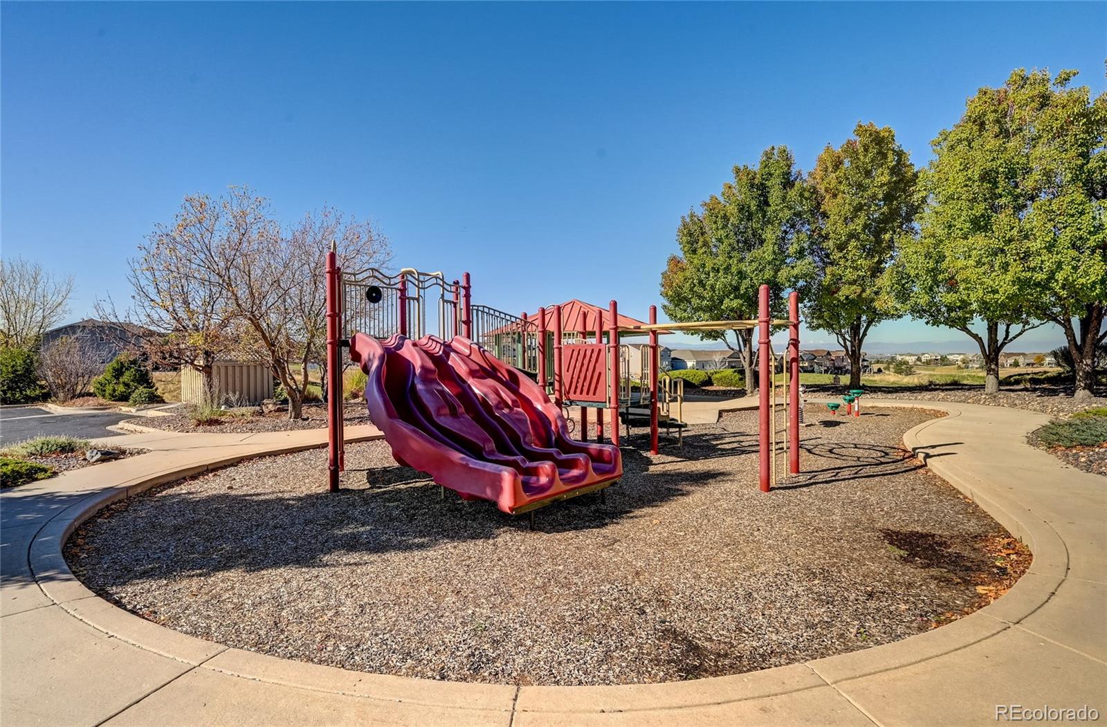 MLS Image #43 for 23161  timber spring place,parker, Colorado