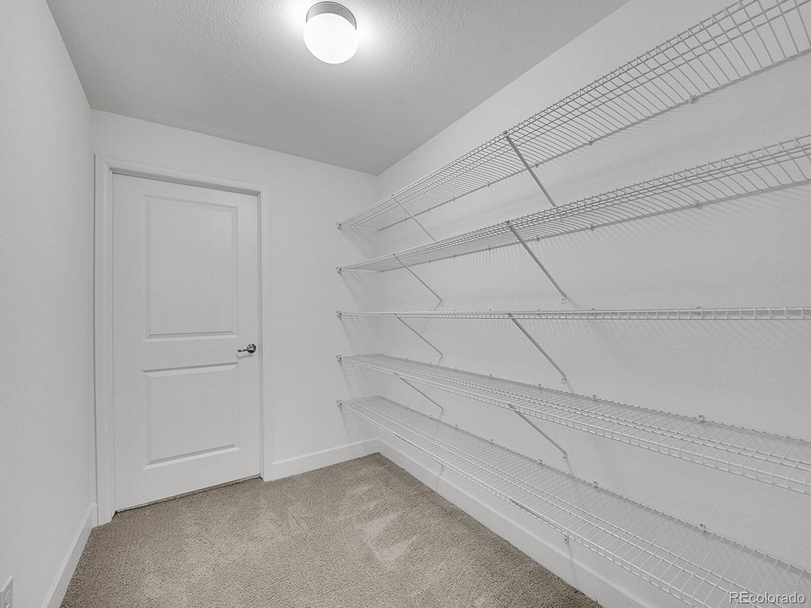MLS Image #29 for 3681  new haven circle,castle rock, Colorado