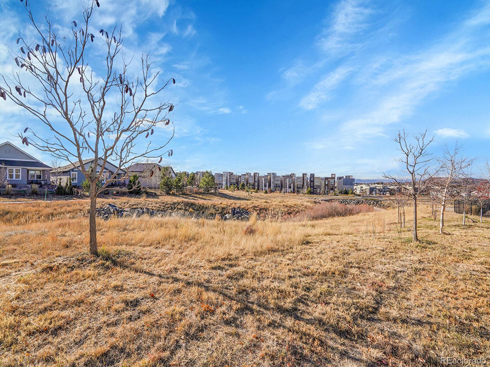 MLS Image #34 for 3681  new haven circle,castle rock, Colorado
