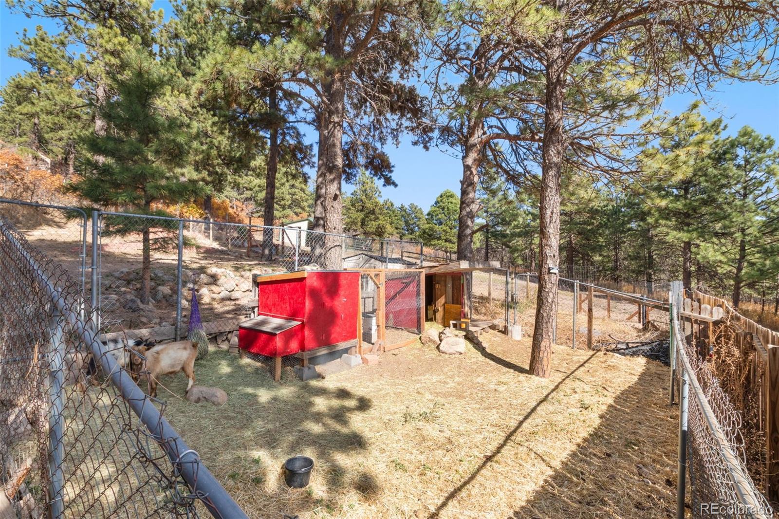 MLS Image #25 for 1219  yarnell drive,larkspur, Colorado