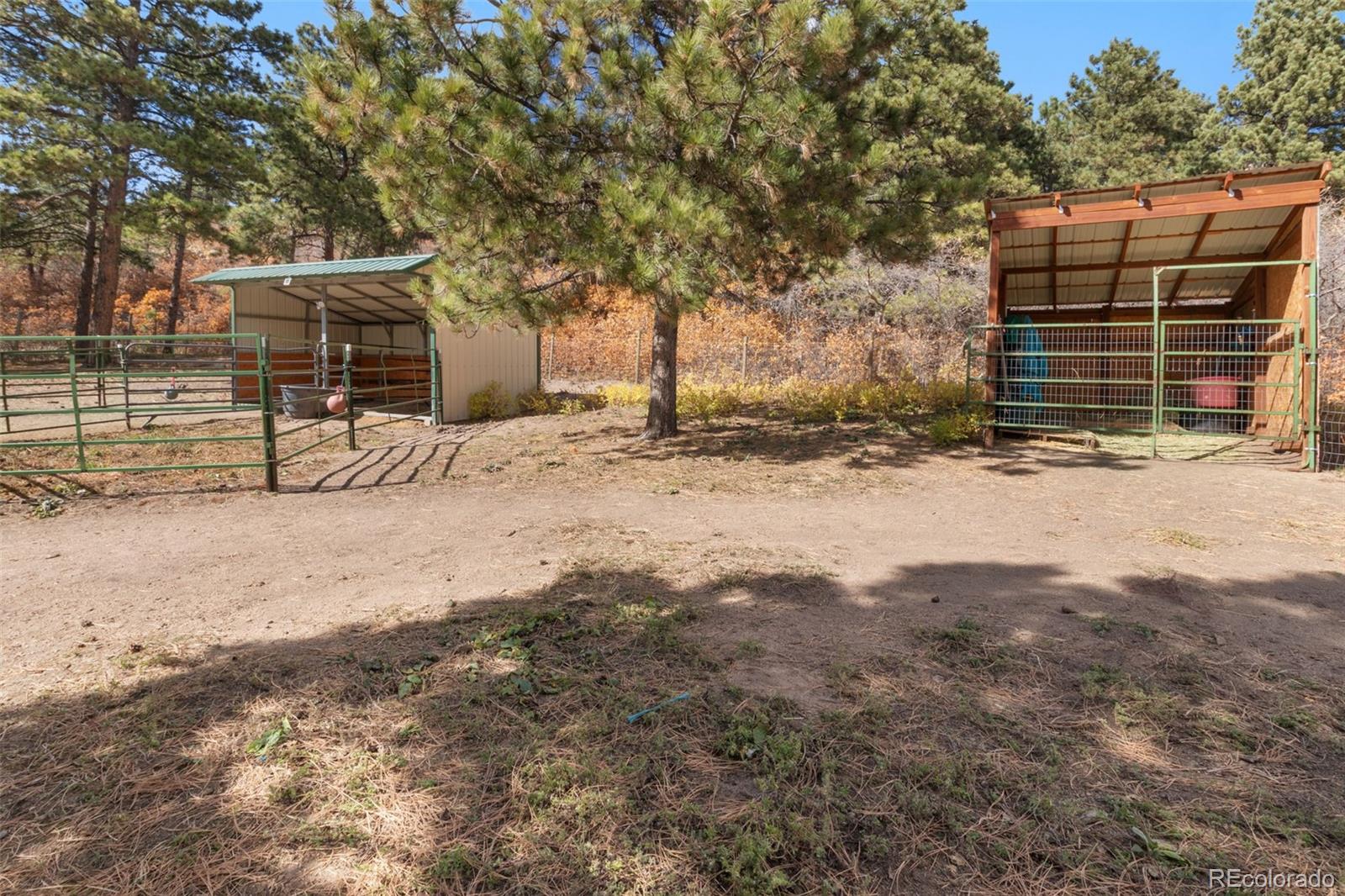 MLS Image #27 for 1219  yarnell drive,larkspur, Colorado