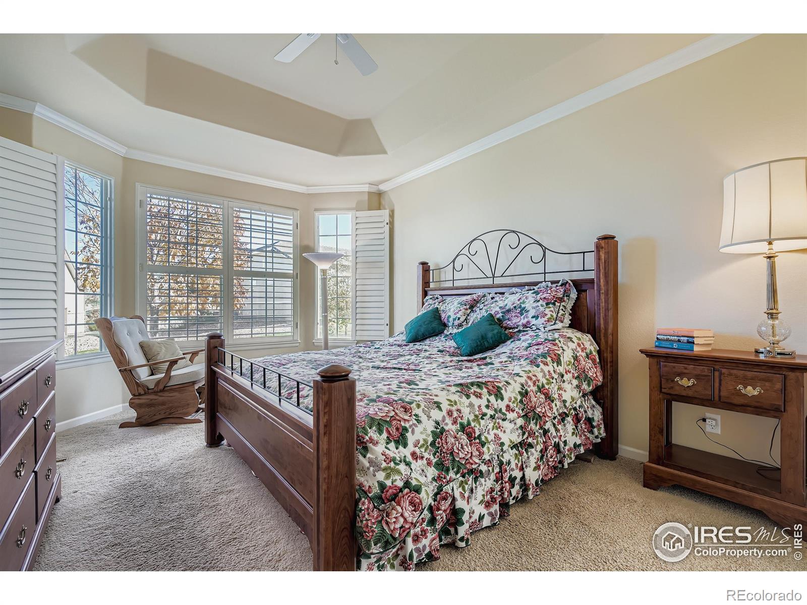 MLS Image #16 for 16282  red mountain way,broomfield, Colorado