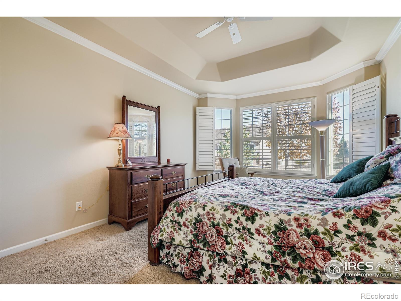 MLS Image #17 for 16282  red mountain way,broomfield, Colorado