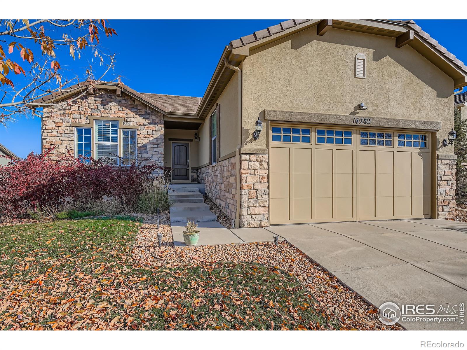 MLS Image #2 for 16282  red mountain way,broomfield, Colorado