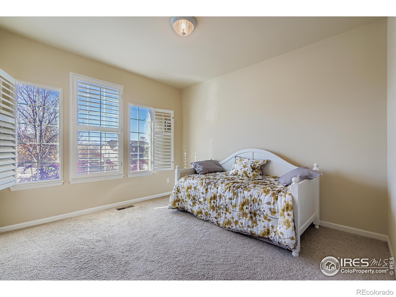 MLS Image #20 for 16282  red mountain way,broomfield, Colorado