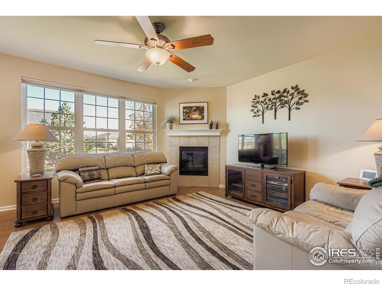 MLS Image #4 for 16282  red mountain way,broomfield, Colorado