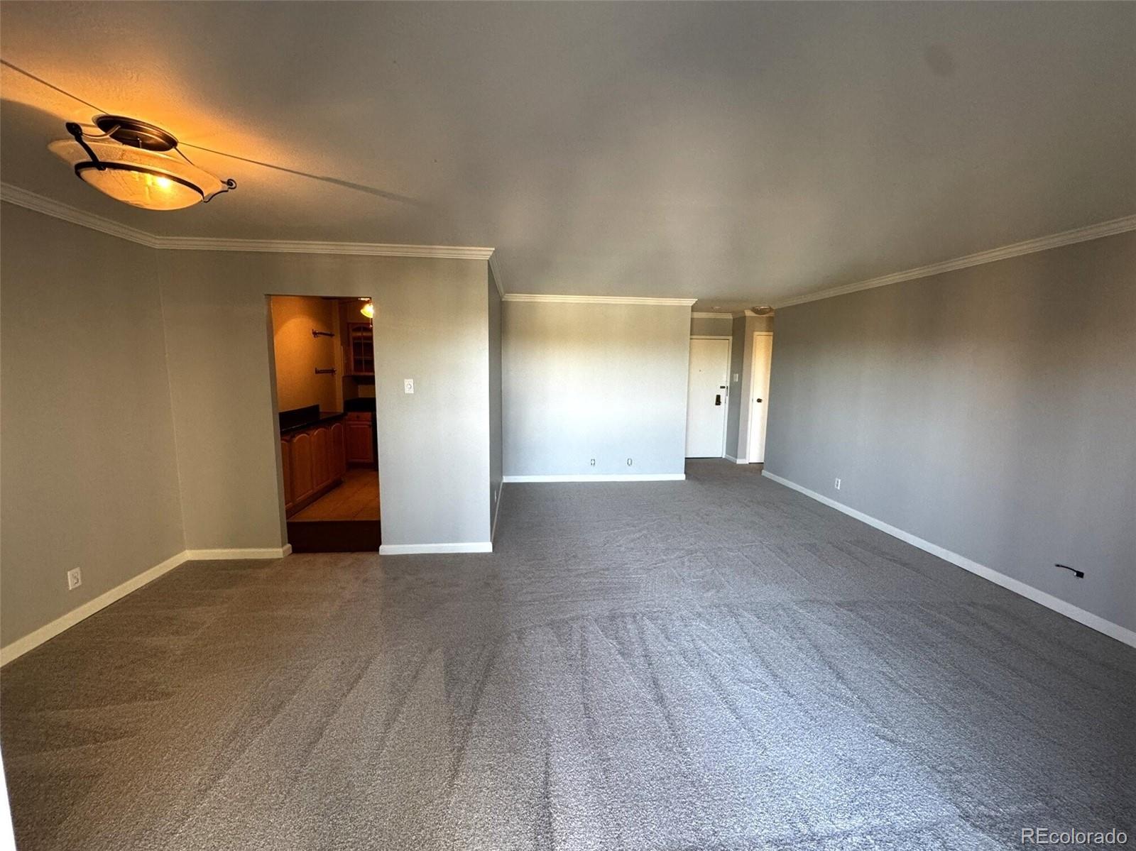 MLS Image #11 for 460 s marion parkway 1302,denver, Colorado